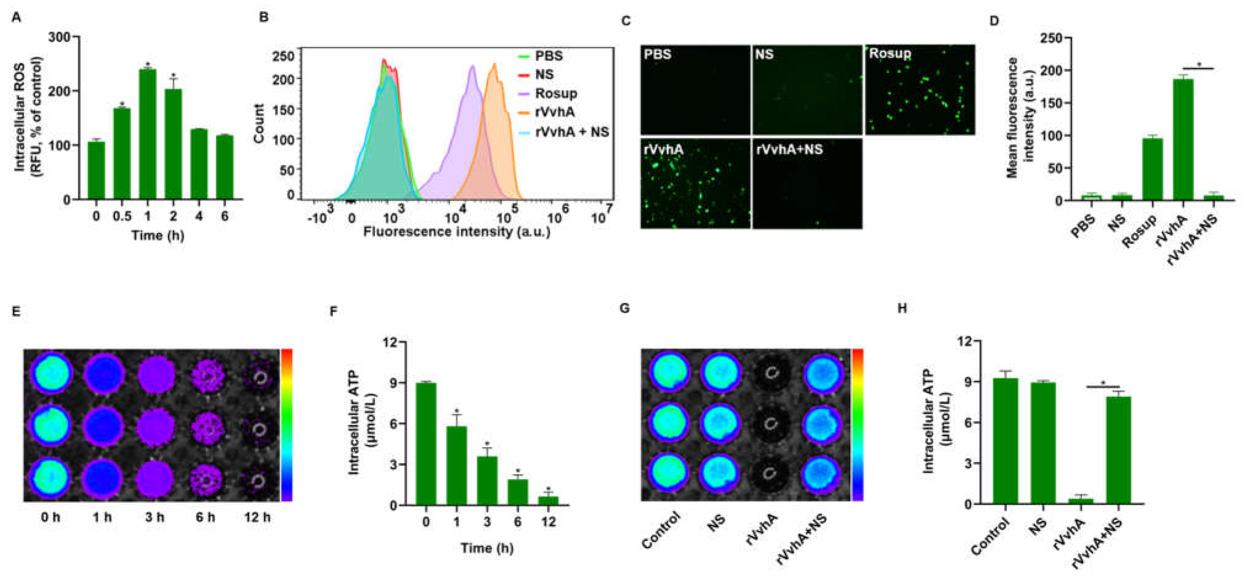 Ijms Free Full Text Biomimetic Nanosponges Enable The Detoxification Of Vibrio Vulnificus Hemolysin Html
