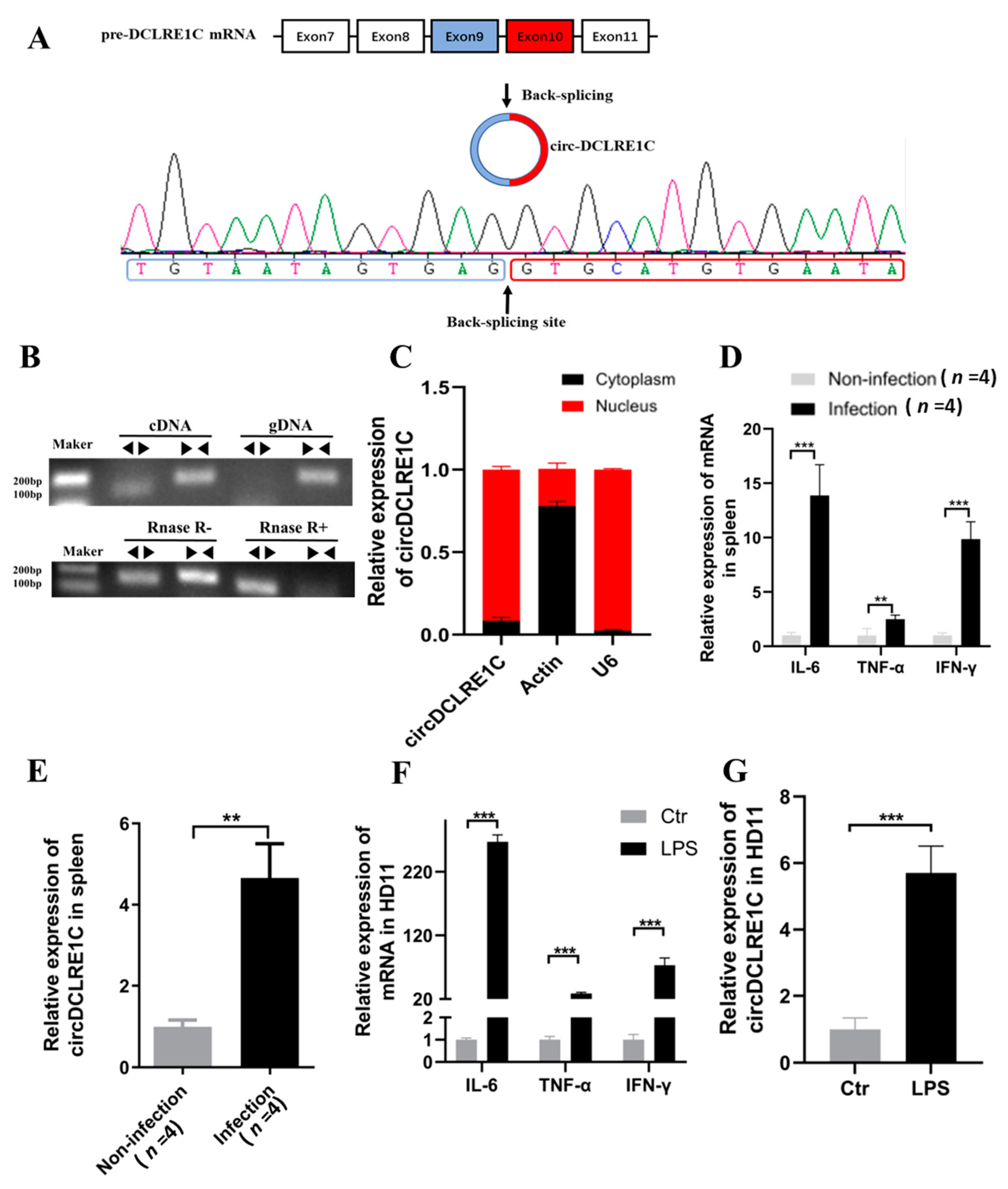 Ijms 23 06822 g001 Ijms 23 06822 g001