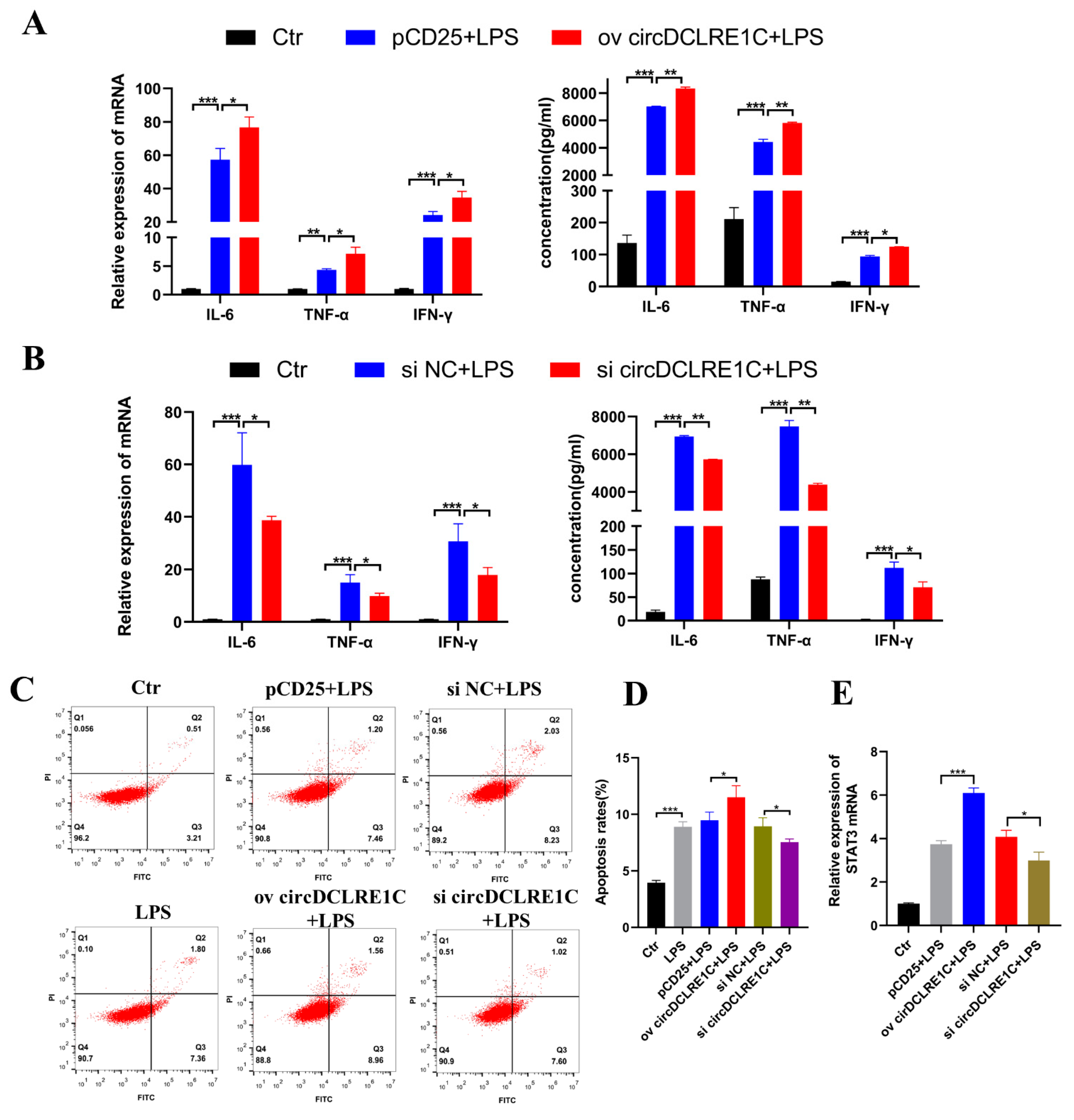 Ijms 23 06822 g002 Ijms 23 06822 g002