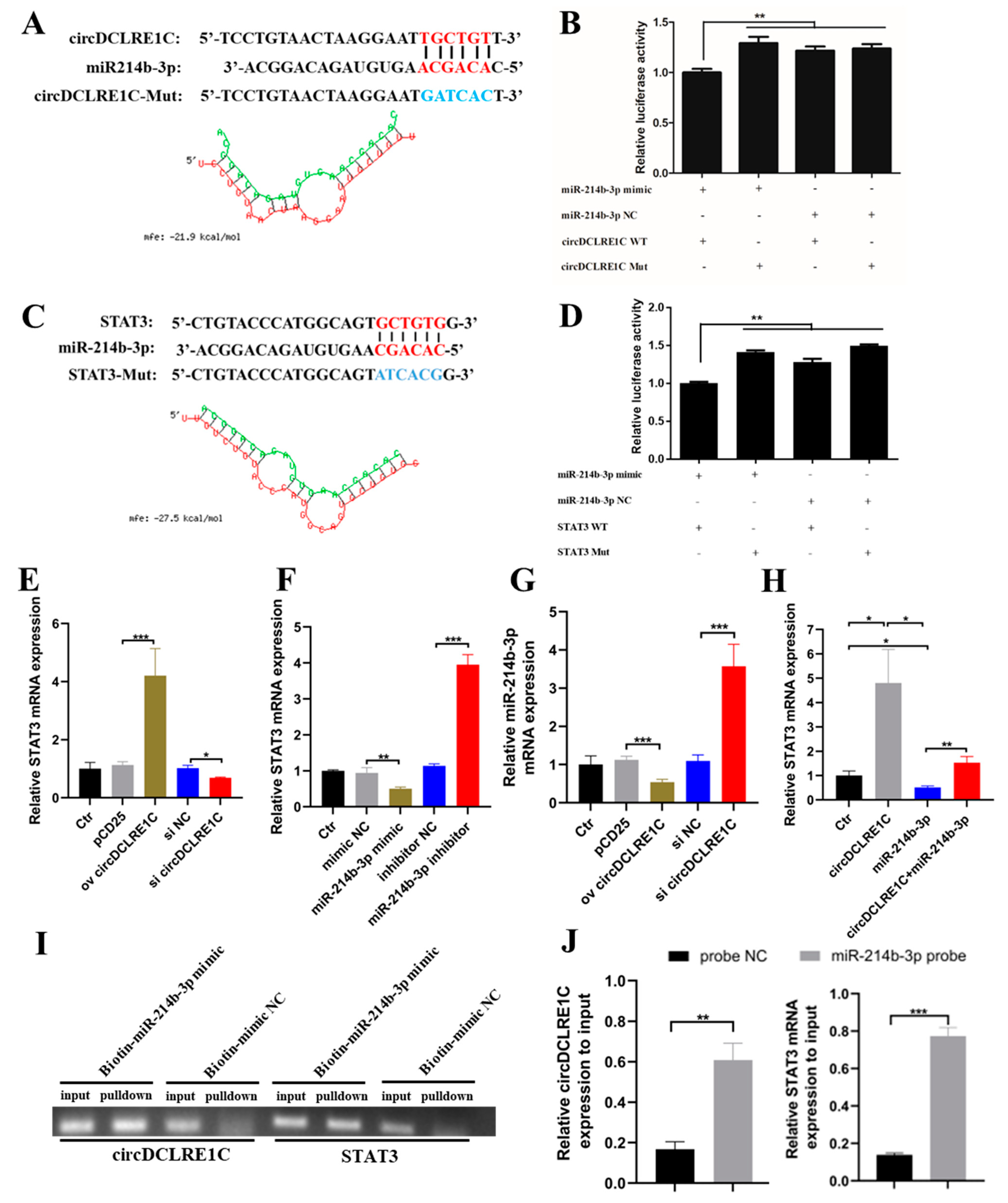 Ijms 23 06822 g003 Ijms 23 06822 g003