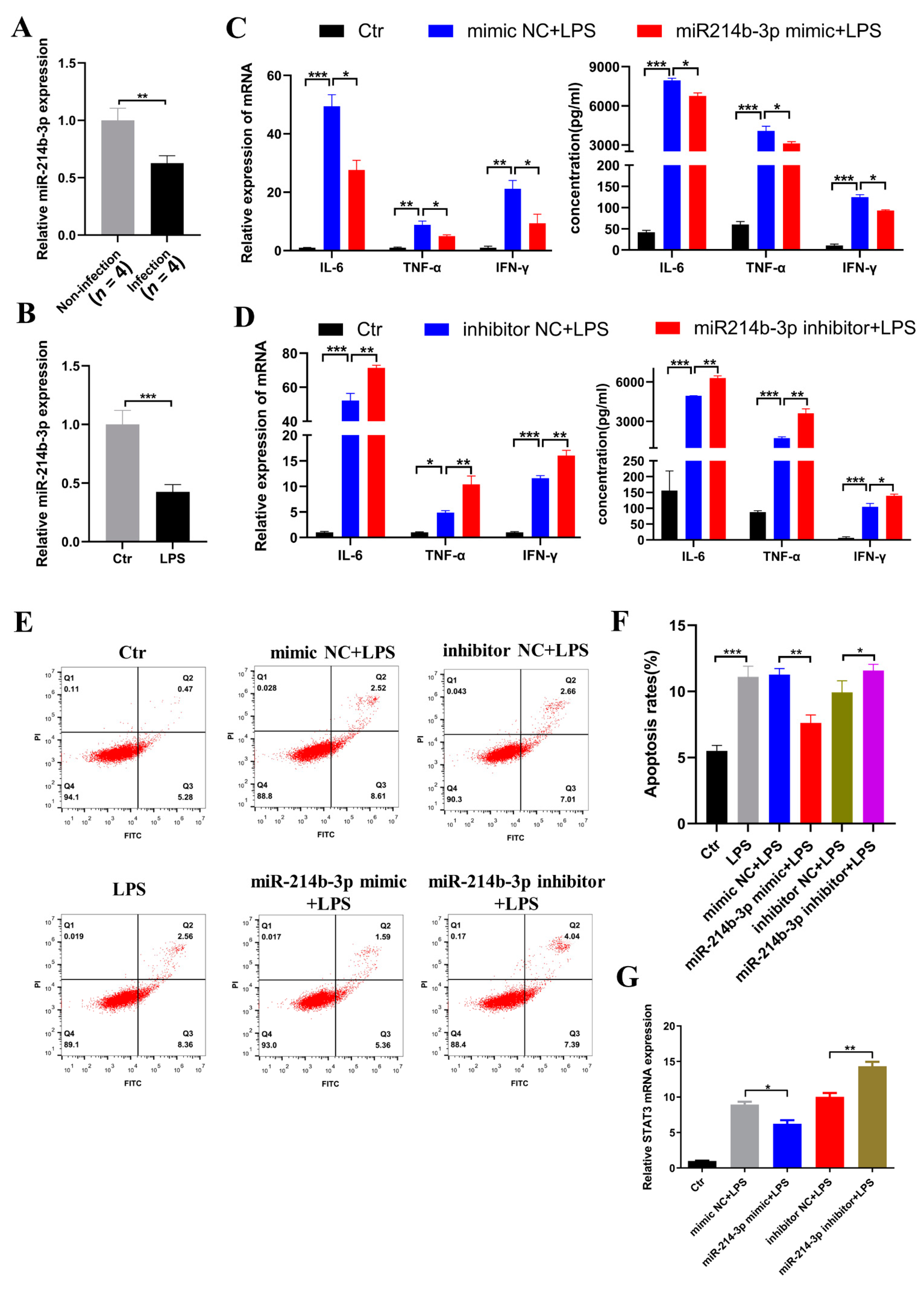 Ijms 23 06822 g004 Ijms 23 06822 g004