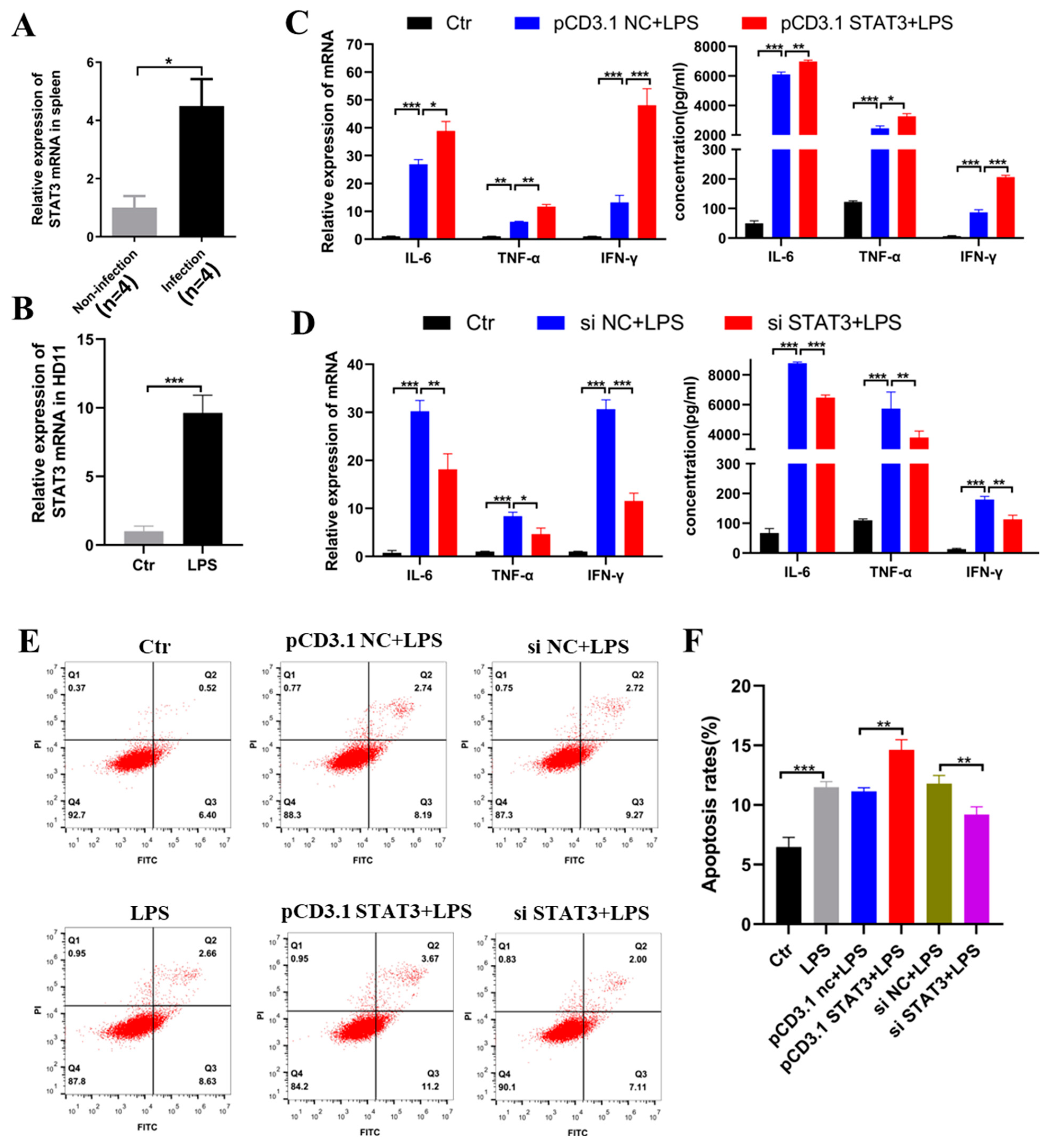 Ijms 23 06822 g005 Ijms 23 06822 g005