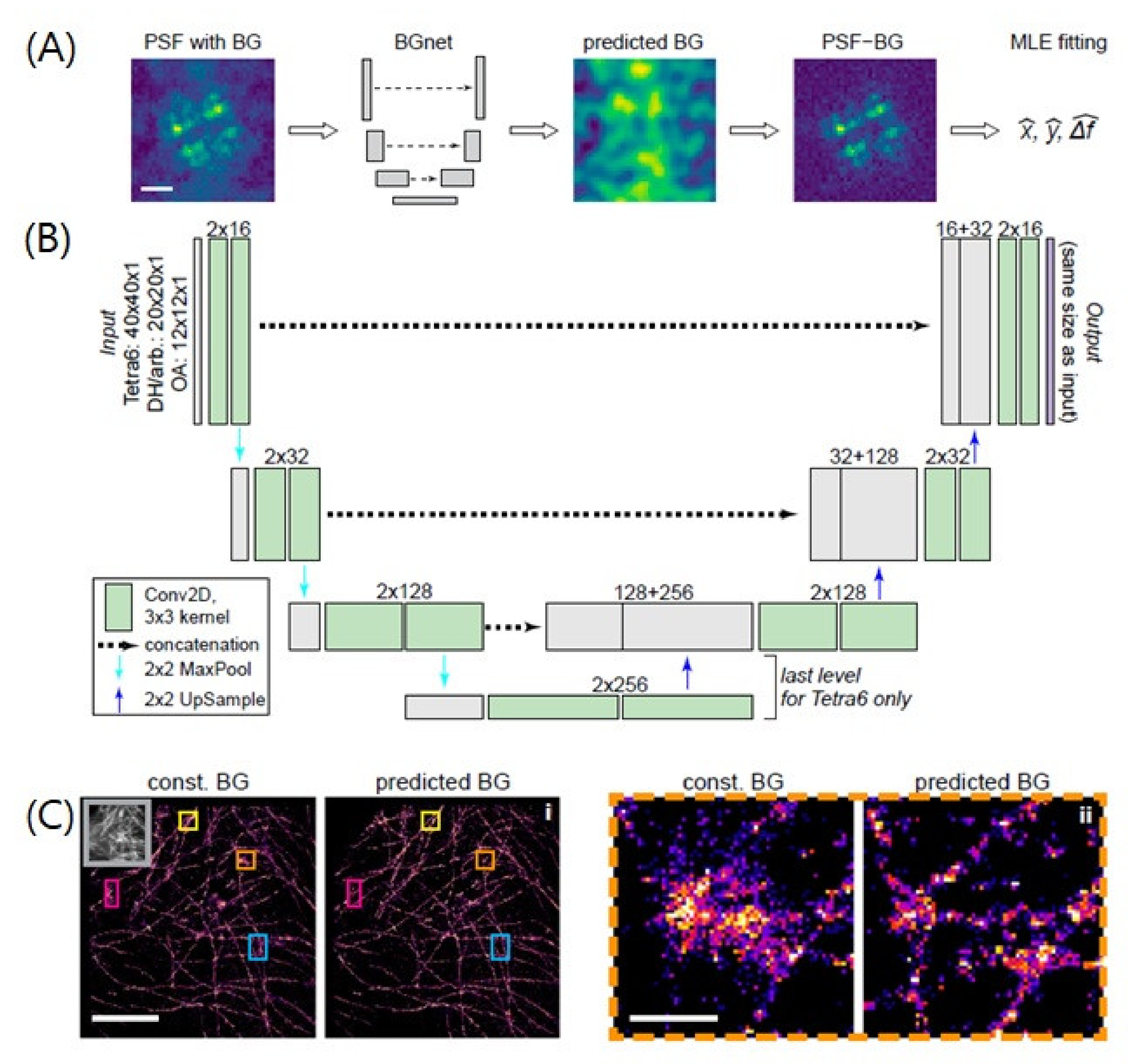 IJMS | Free Full-Text | Development Of Deep-Learning-Based Single ...