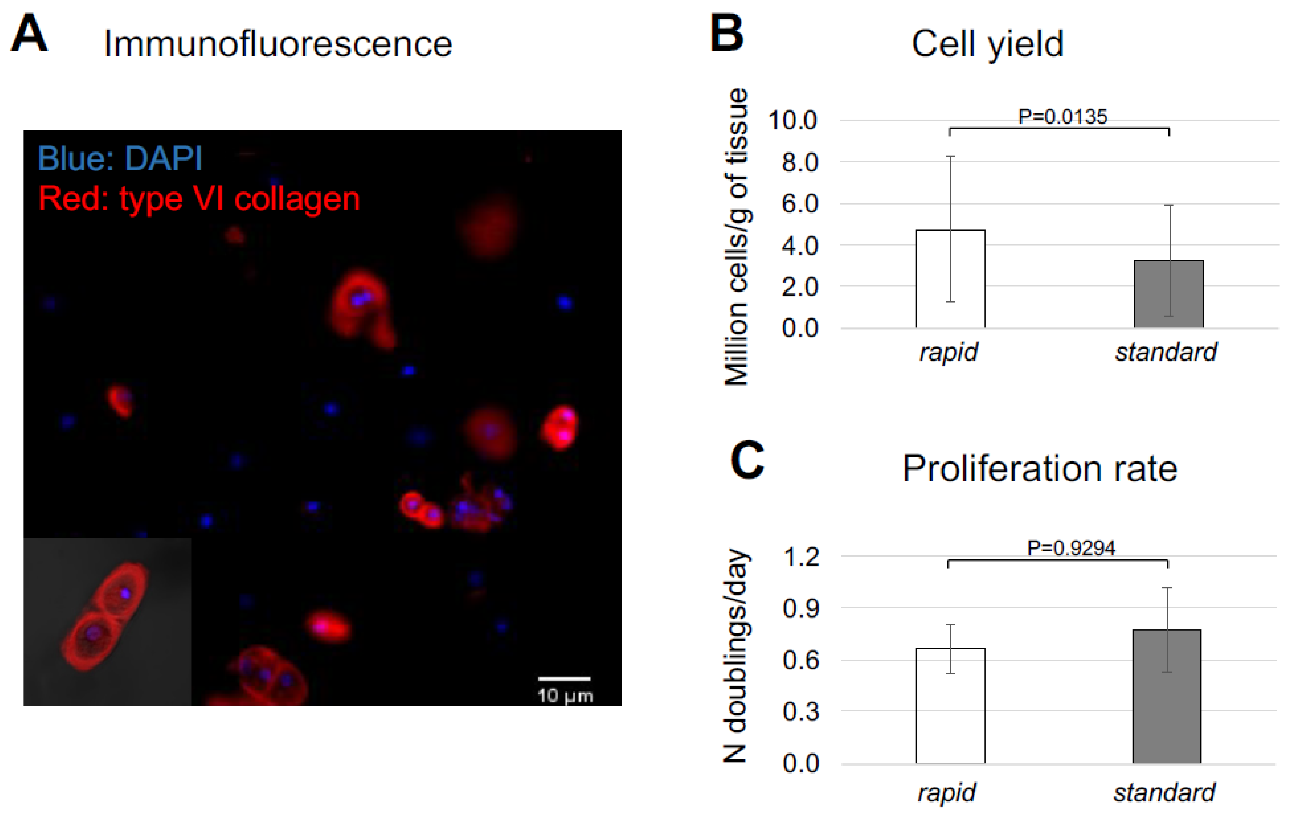 Ijms 23 06900 g001 Ijms 23 06900 g001