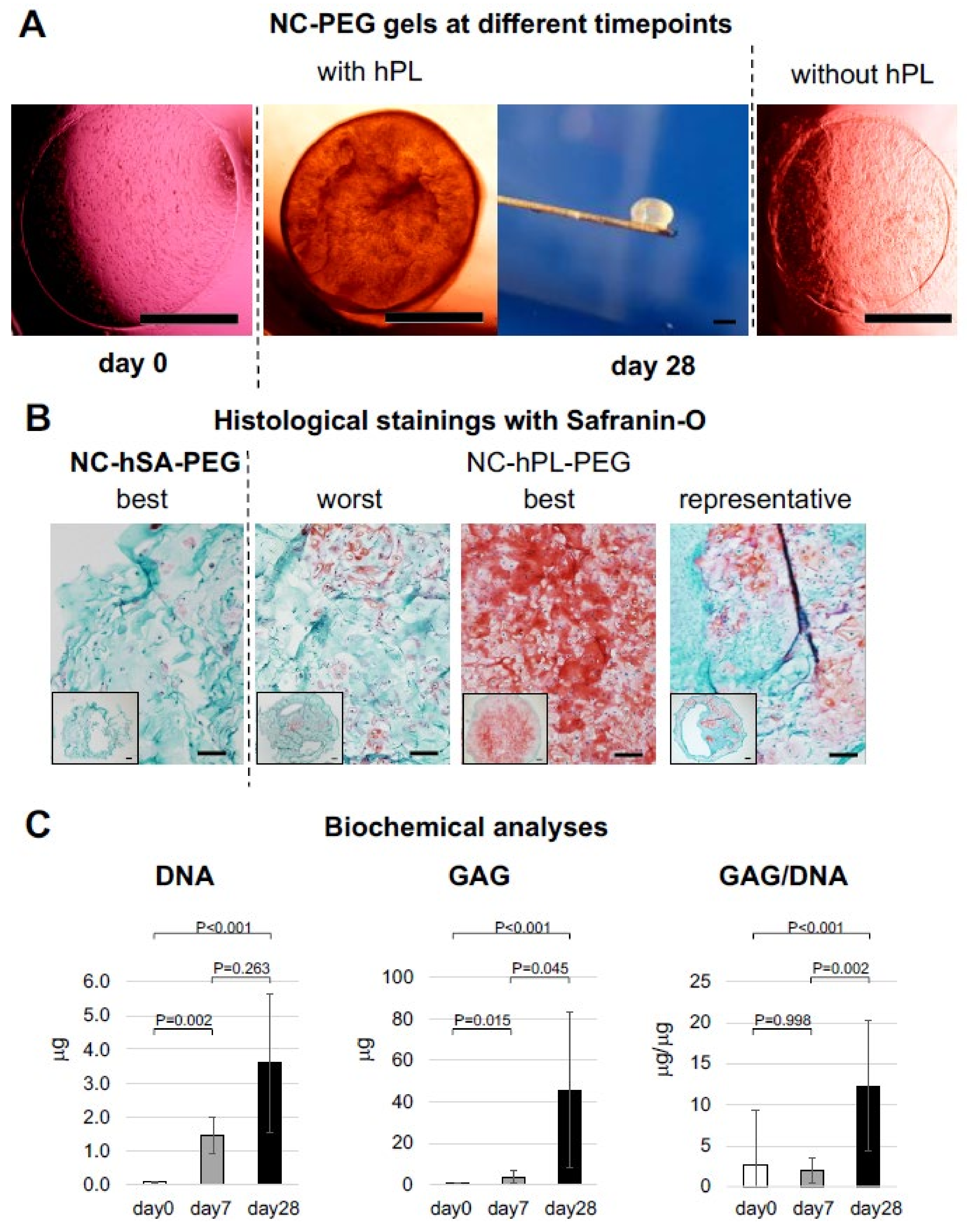 Ijms 23 06900 g003 Ijms 23 06900 g003
