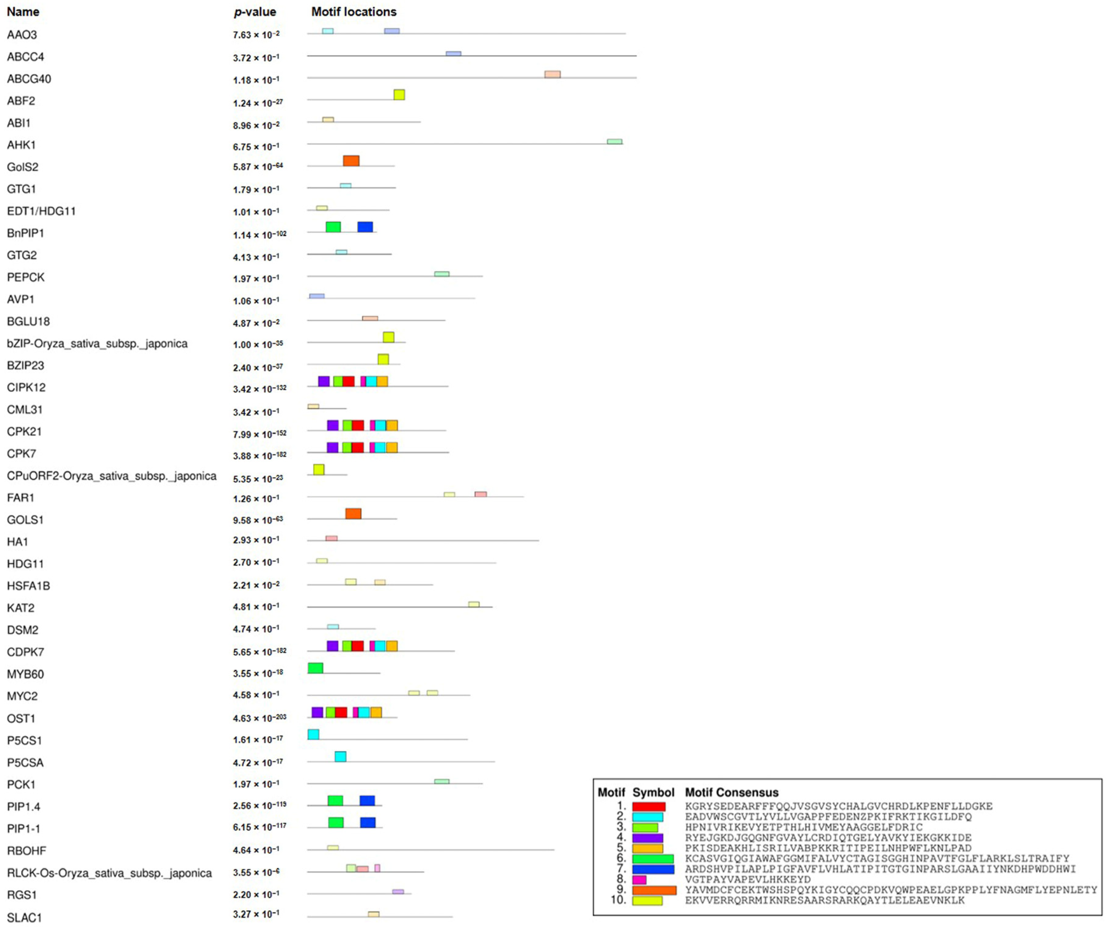 Ijms 23 06907 g003 Ijms 23 06907 g003