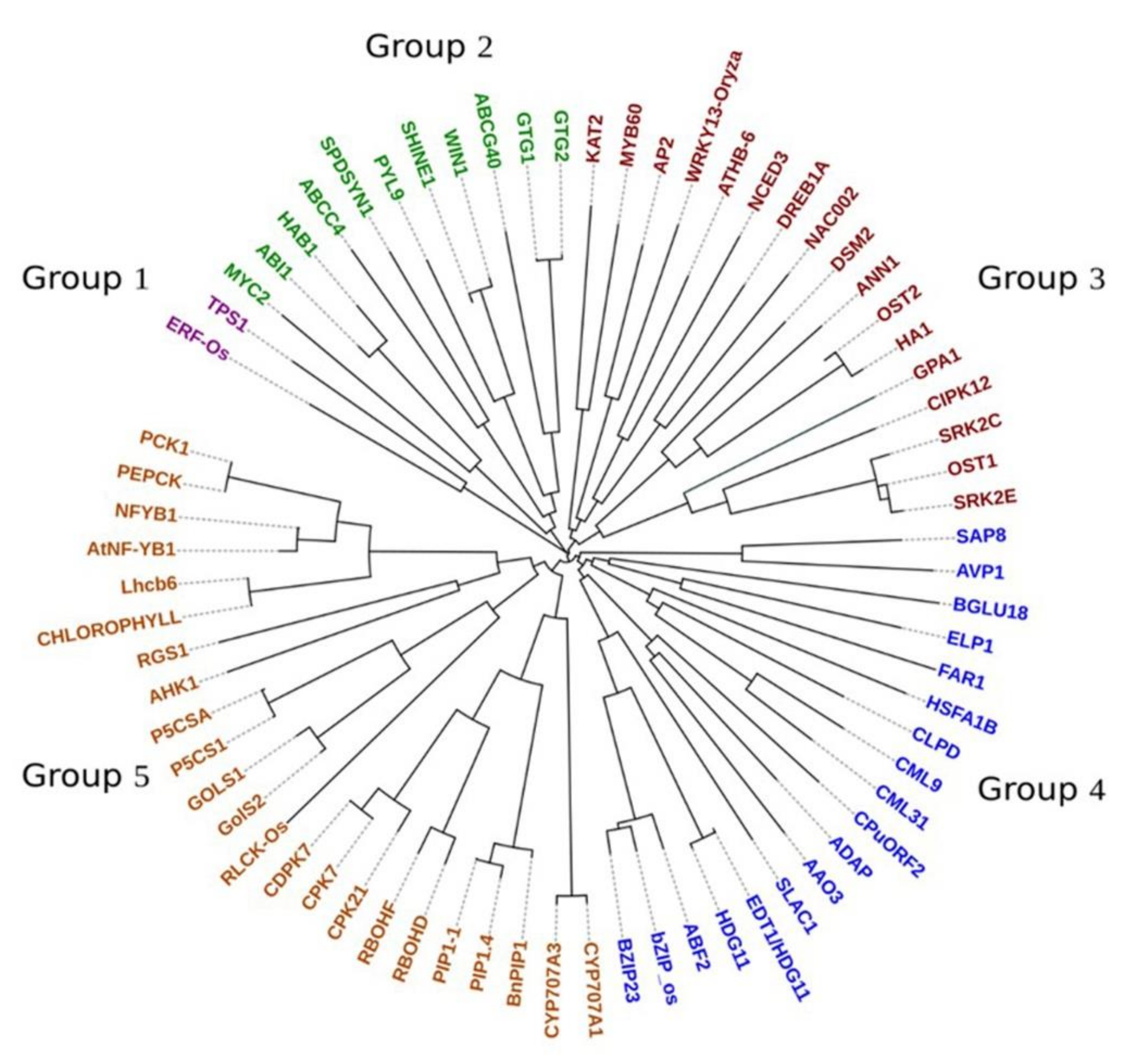 Ijms 23 06907 g005 Ijms 23 06907 g005