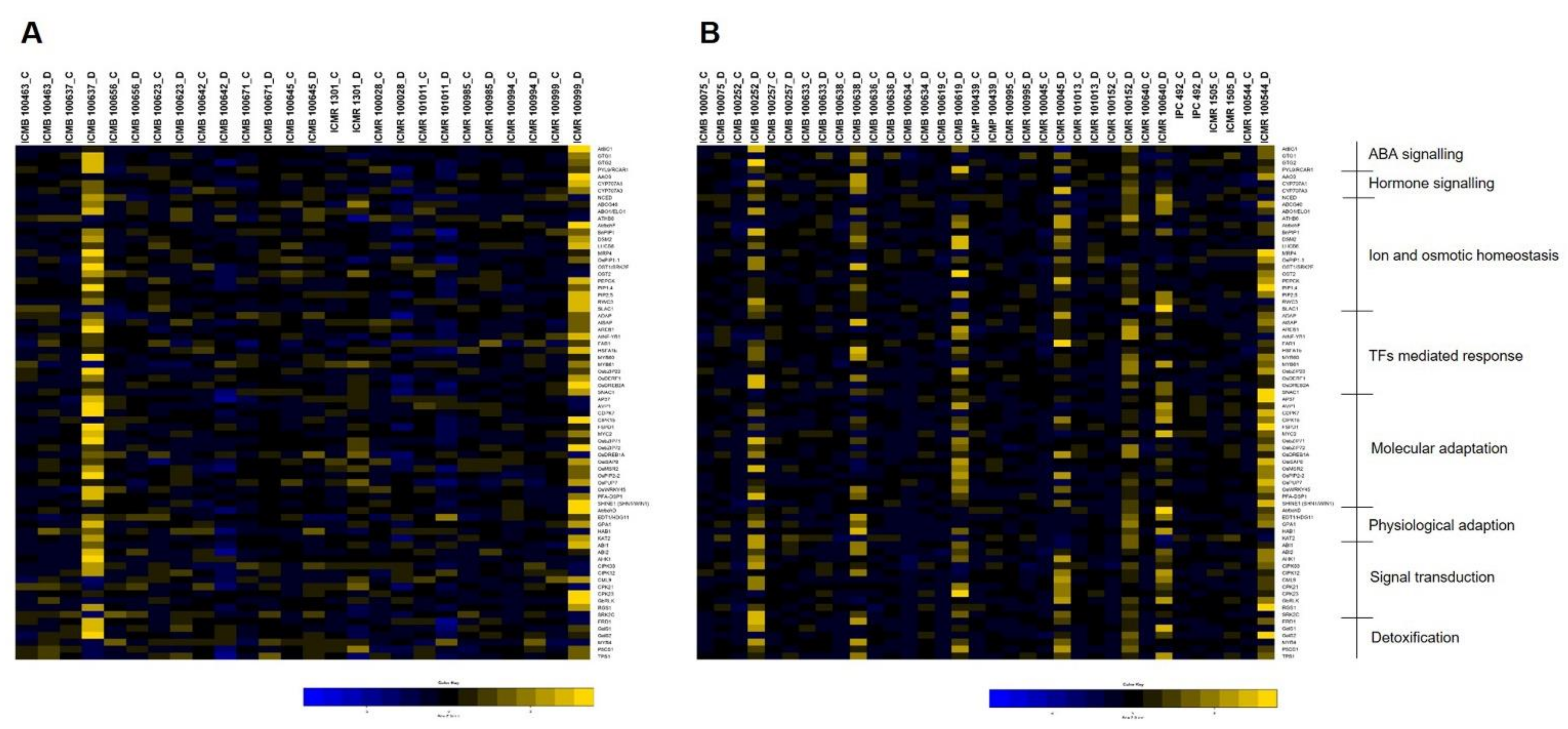 Ijms 23 06907 g007 Ijms 23 06907 g007