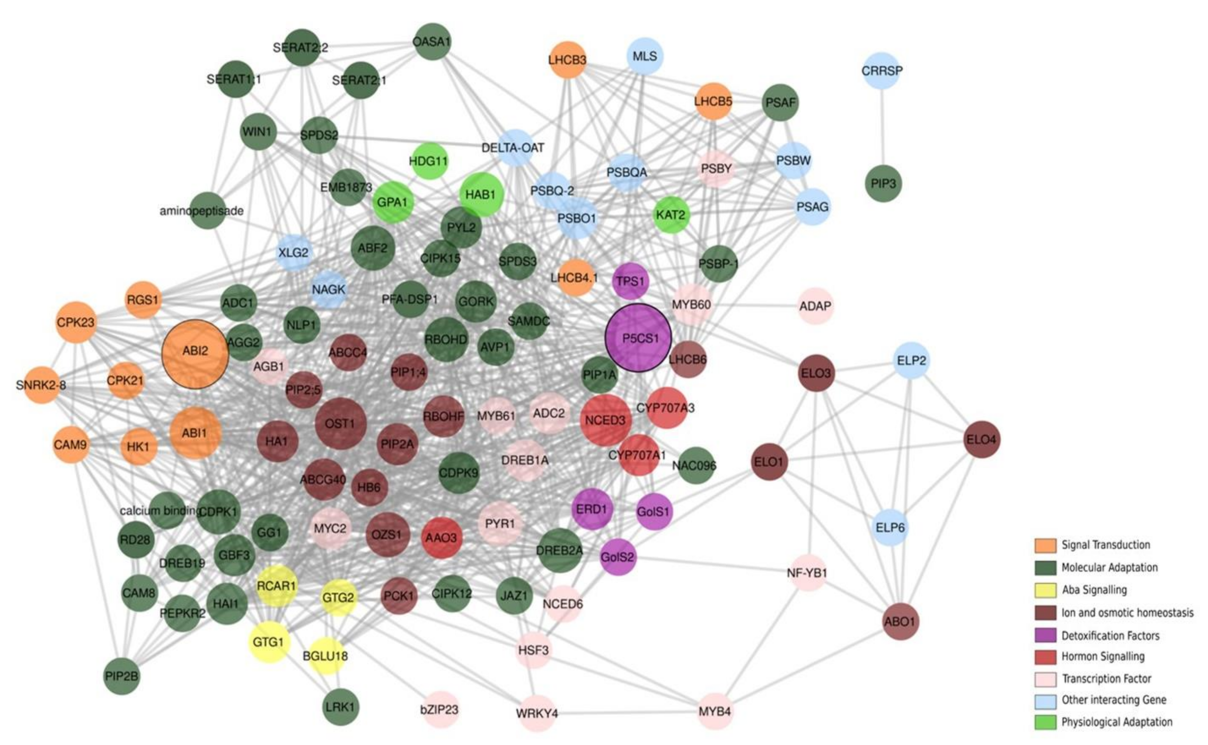 Ijms 23 06907 g008 Ijms 23 06907 g008