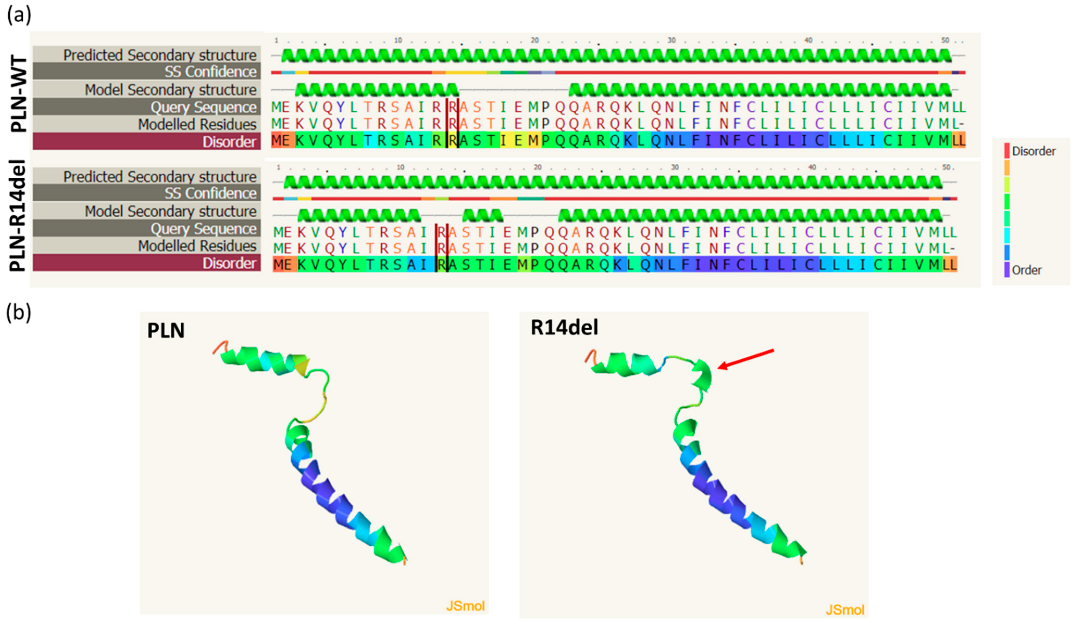 Ijms 23 06947 g007 Ijms 23 06947 g007