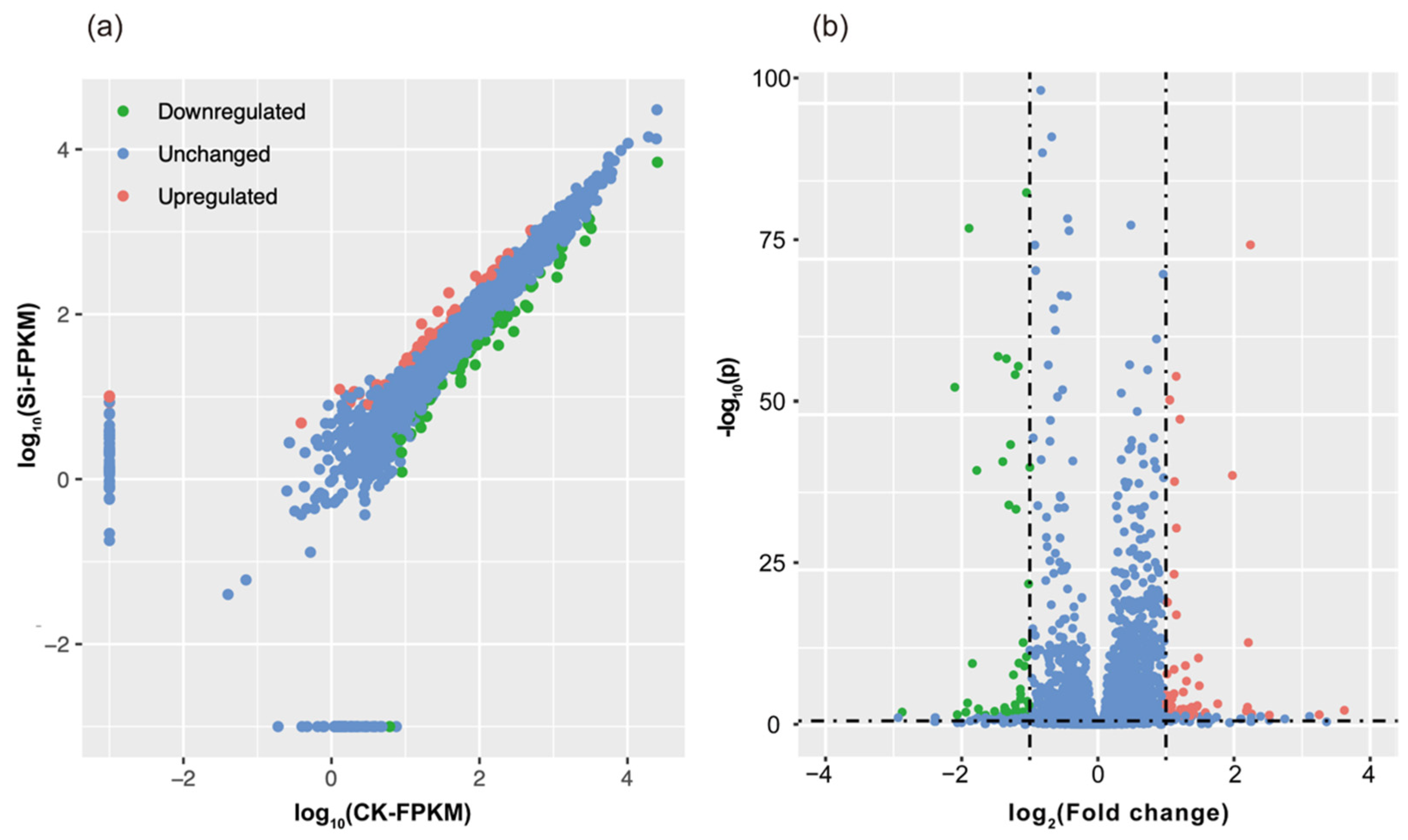 Ijms 23 06965 g003 Ijms 23 06965 g003