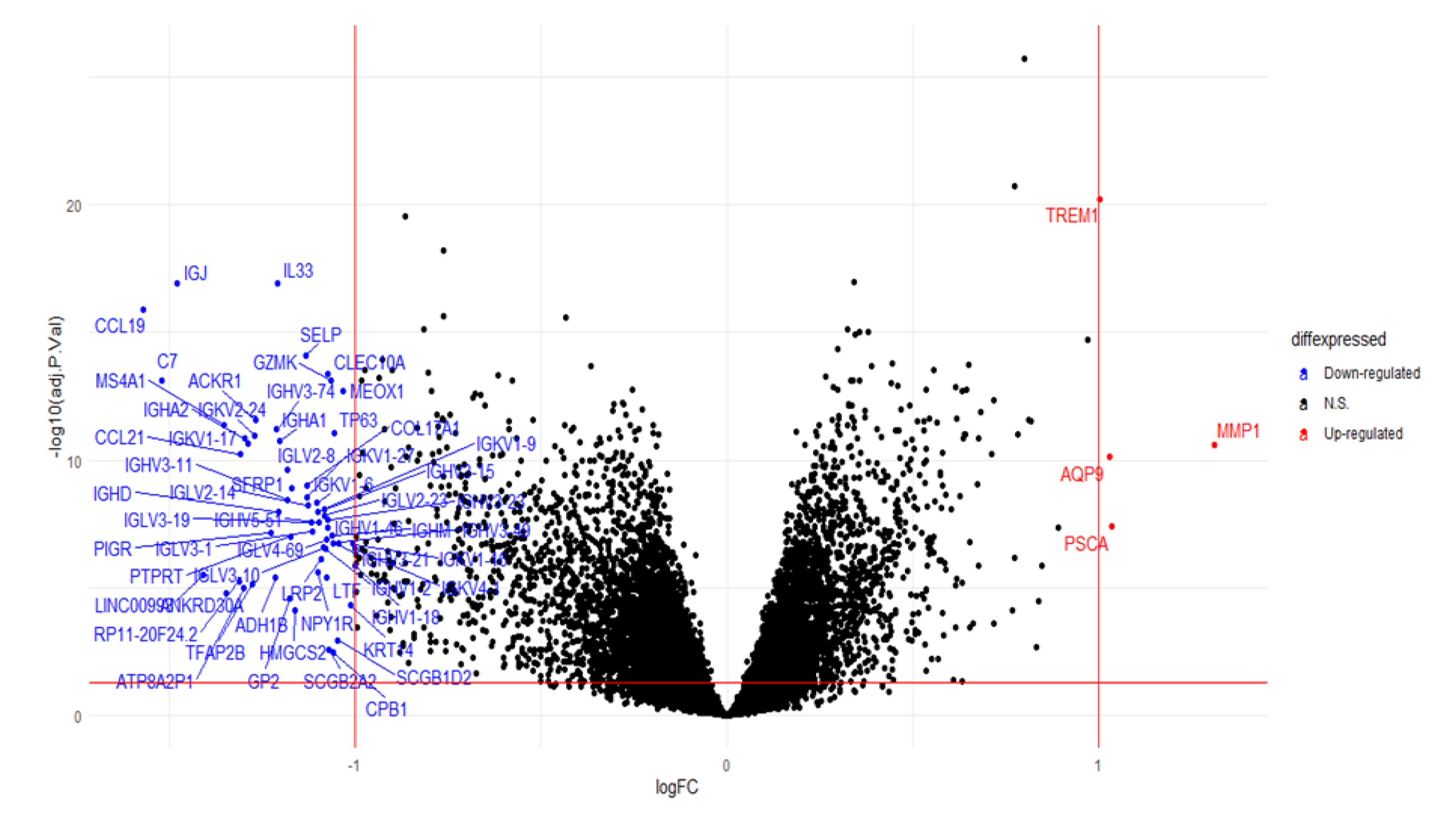 Ijms 23 06994 g008 Ijms 23 06994 g008