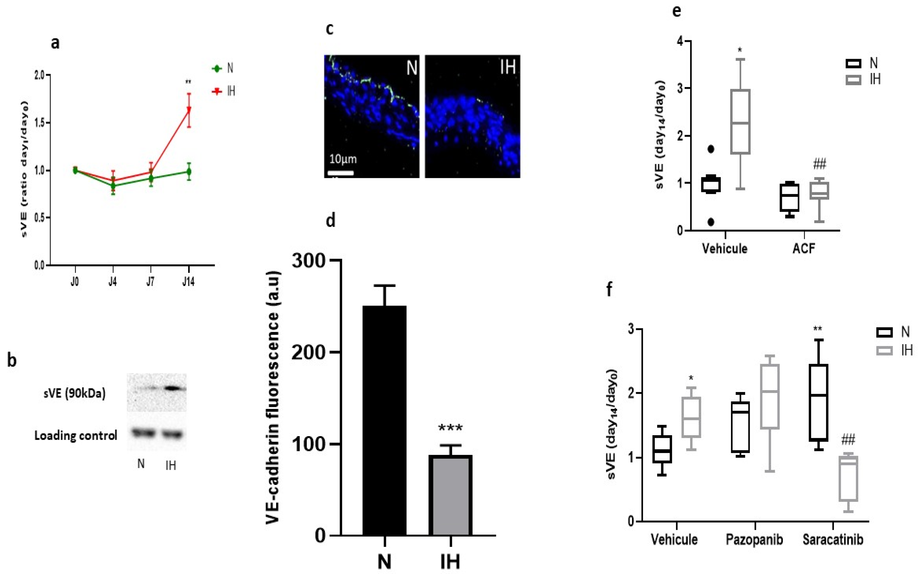 Ijms 23 07012 g002 Ijms 23 07012 g002