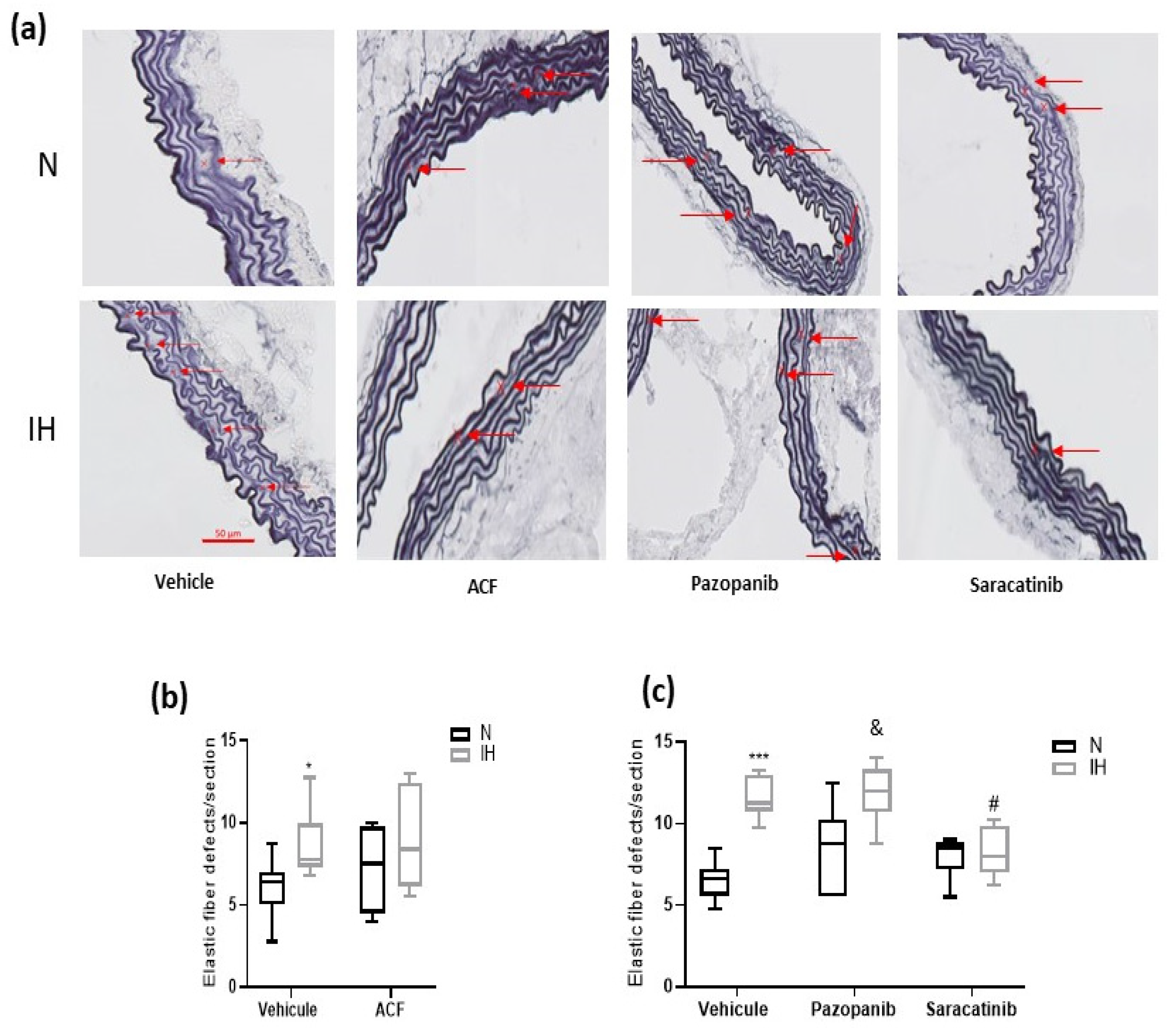 Ijms 23 07012 g004a Ijms 23 07012 g004a