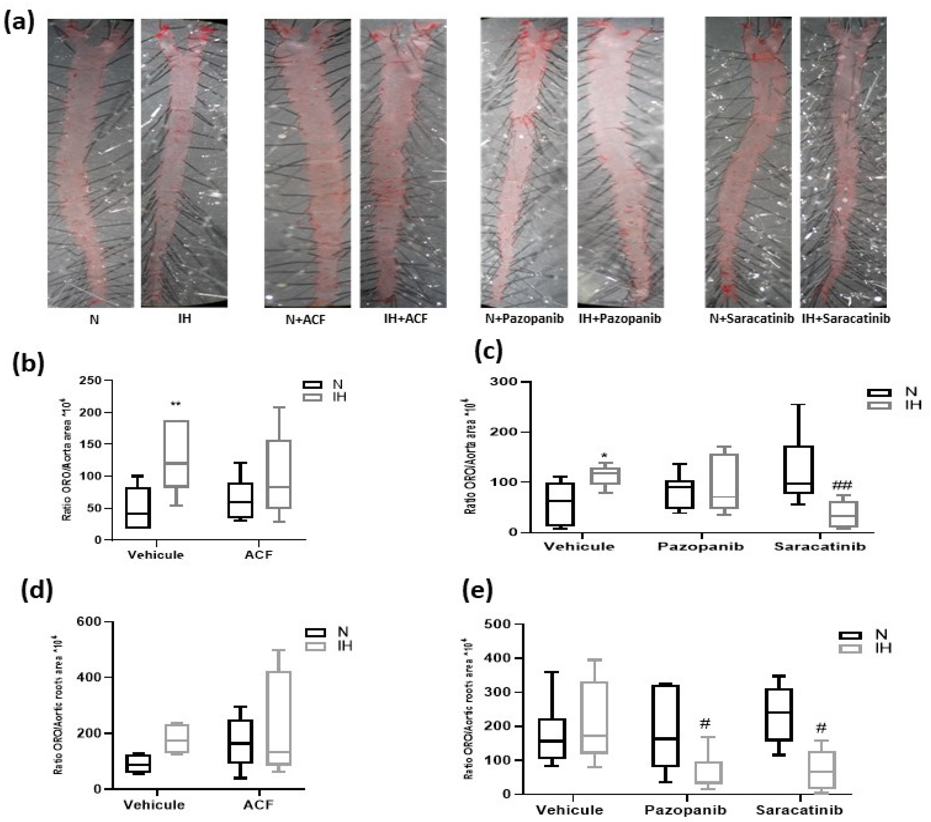 Ijms 23 07012 g005 Ijms 23 07012 g005