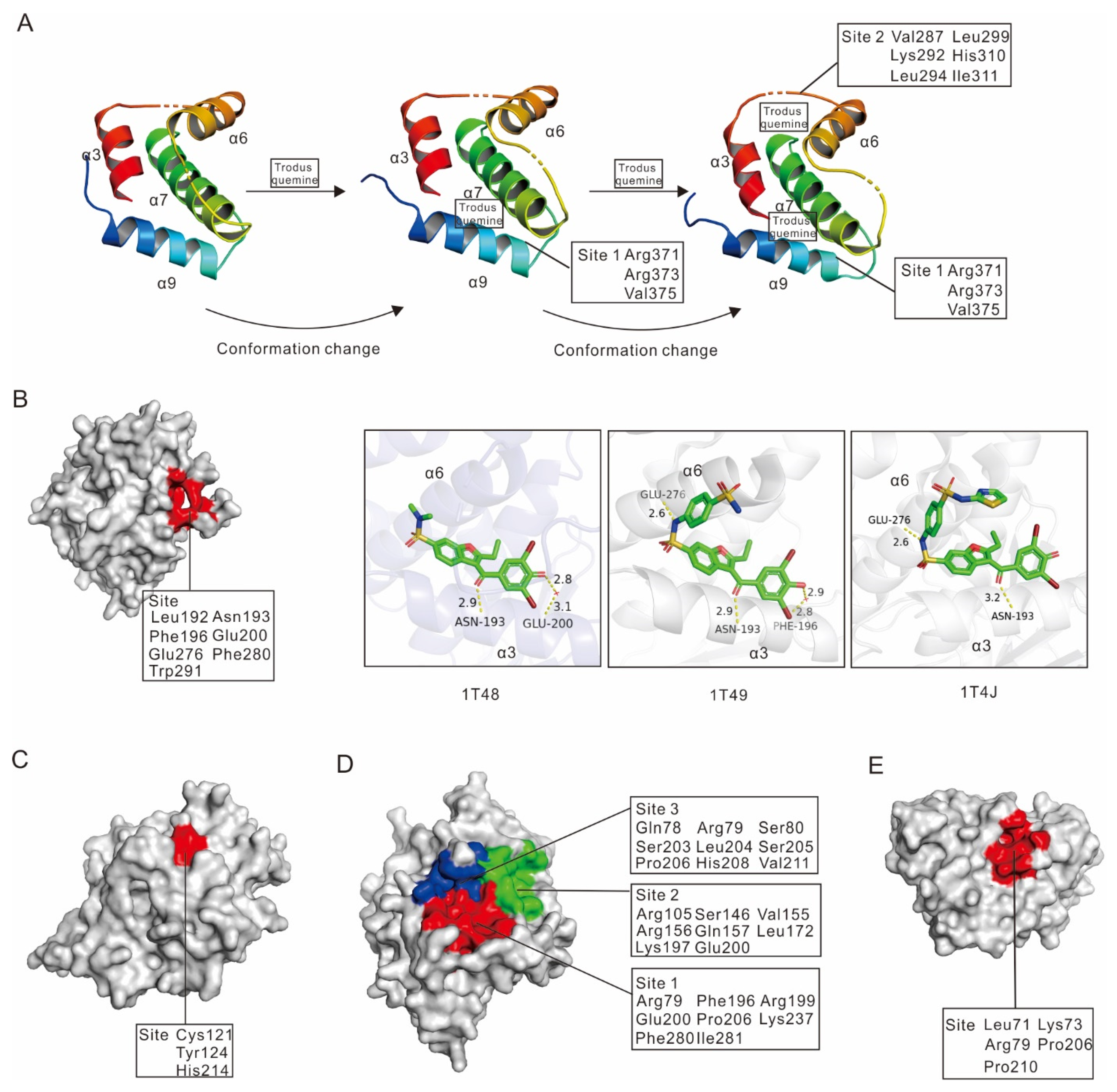 Ijms 23 07027 g004 Ijms 23 07027 g004