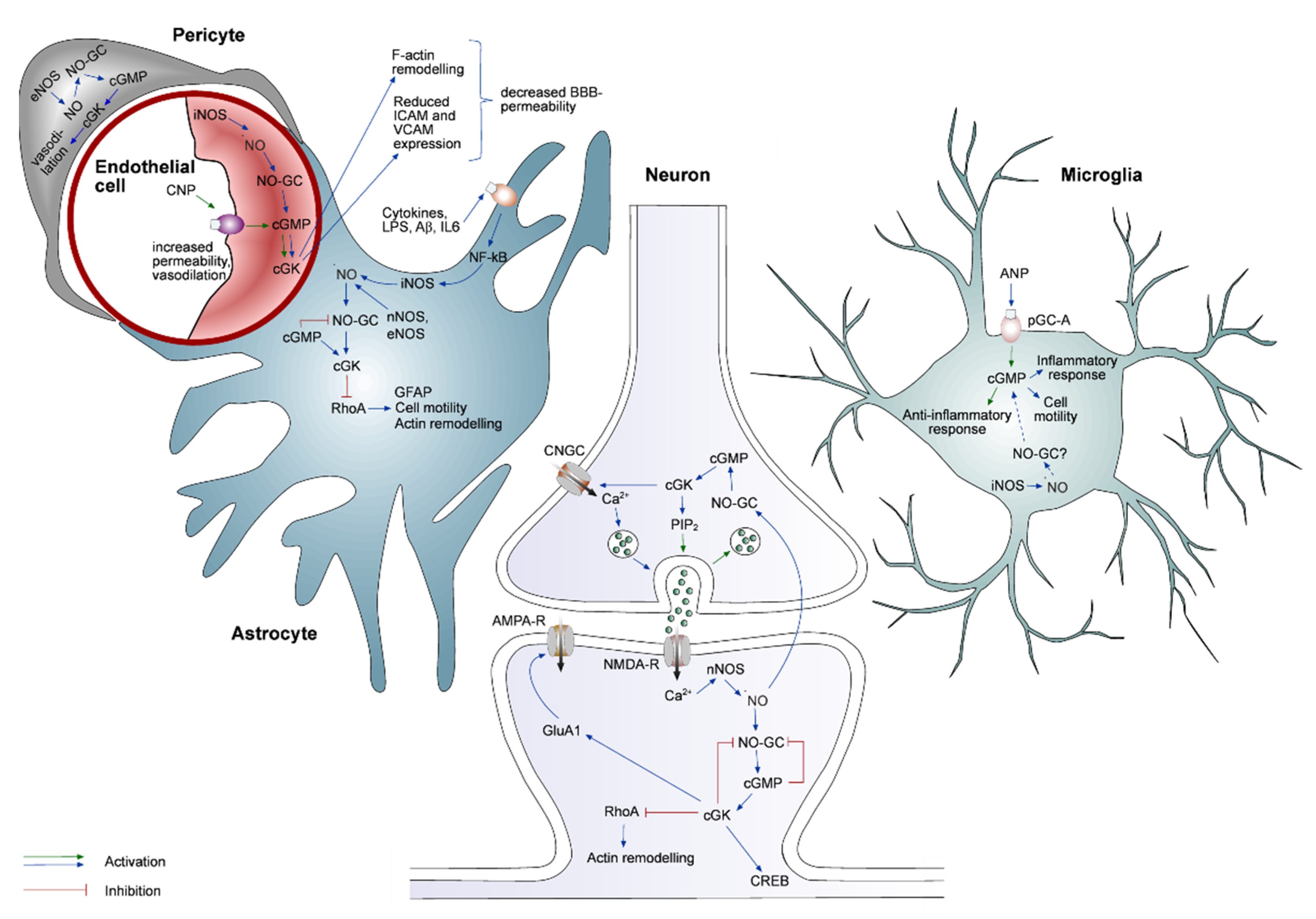 Ijms 23 07048 g002 Ijms 23 07048 g002