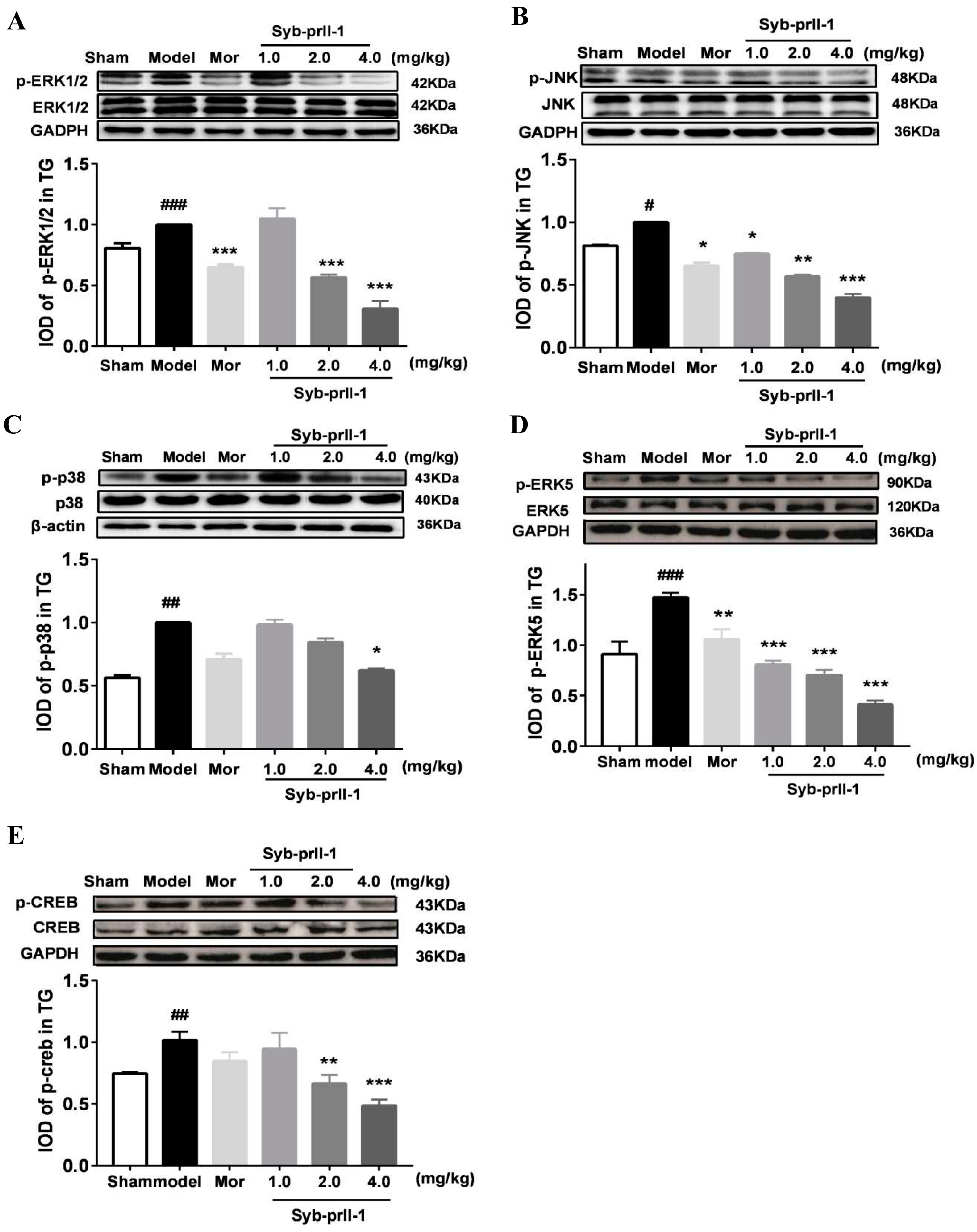 Ijms 23 07065 g004 Ijms 23 07065 g004