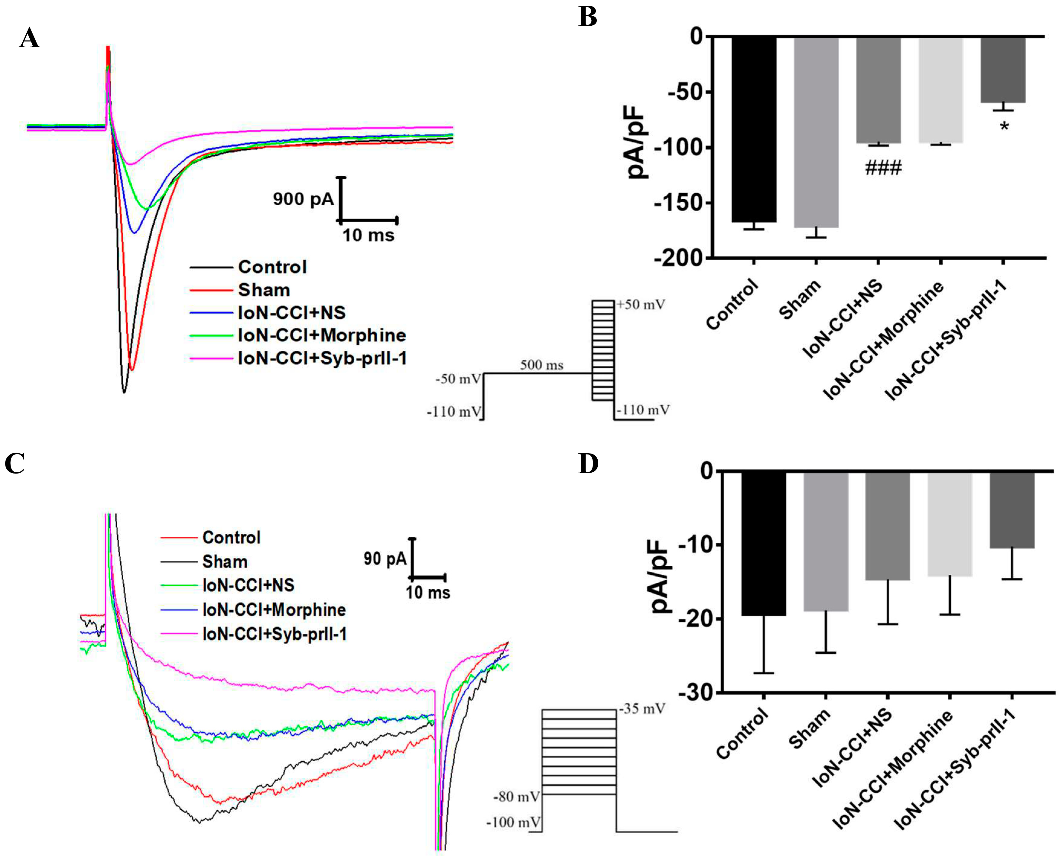 Ijms 23 07065 g005 Ijms 23 07065 g005