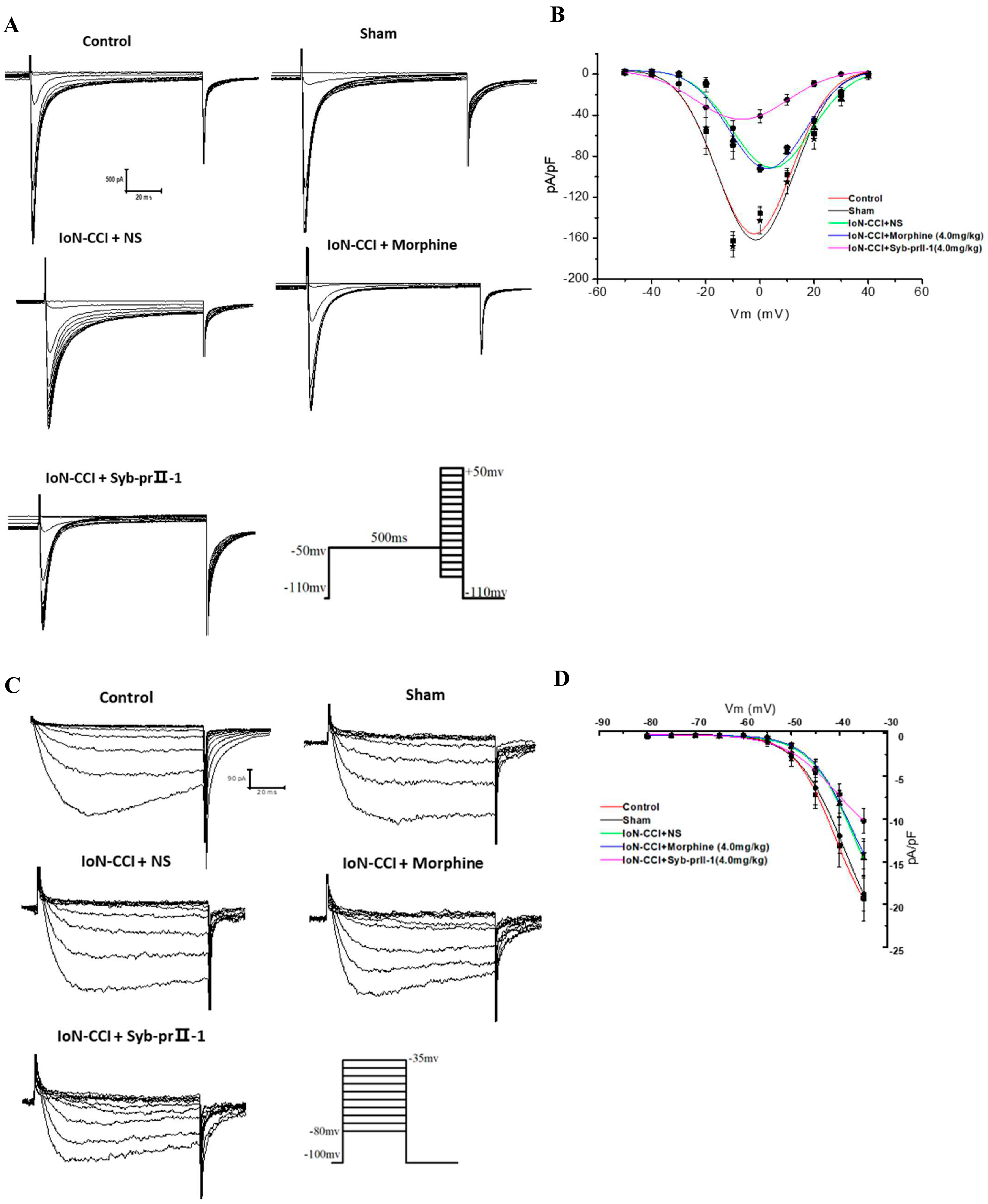 Ijms 23 07065 g006a Ijms 23 07065 g006a
