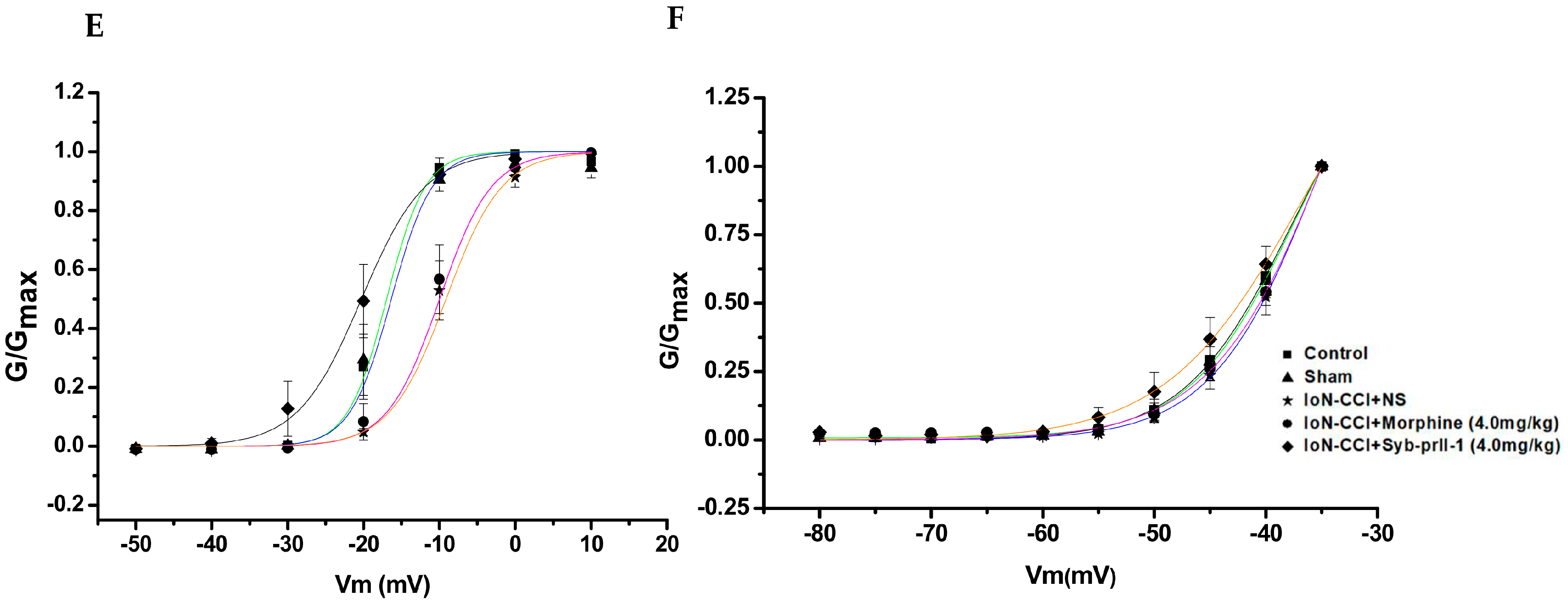 Ijms 23 07065 g006b Ijms 23 07065 g006b