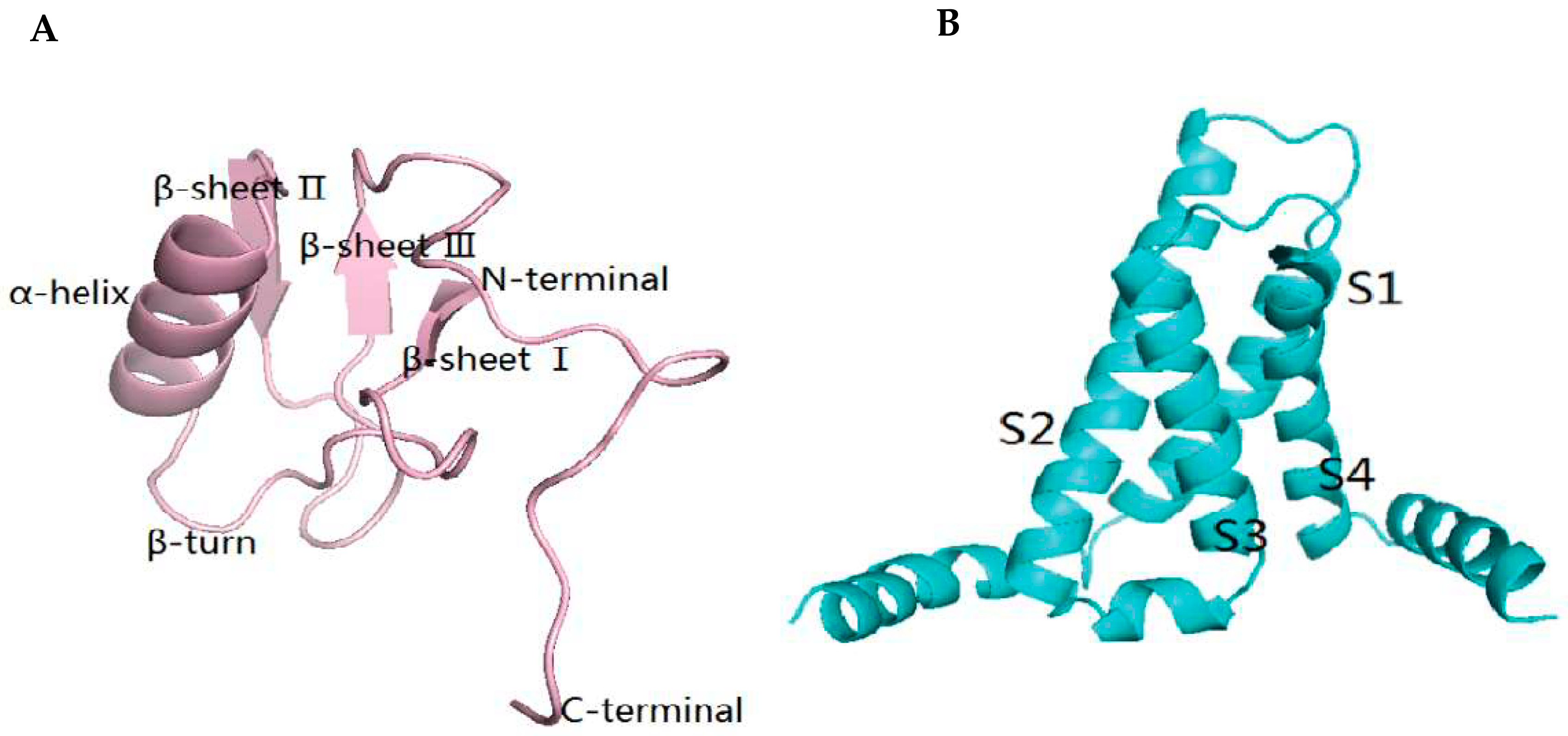 Ijms 23 07065 g008 Ijms 23 07065 g008