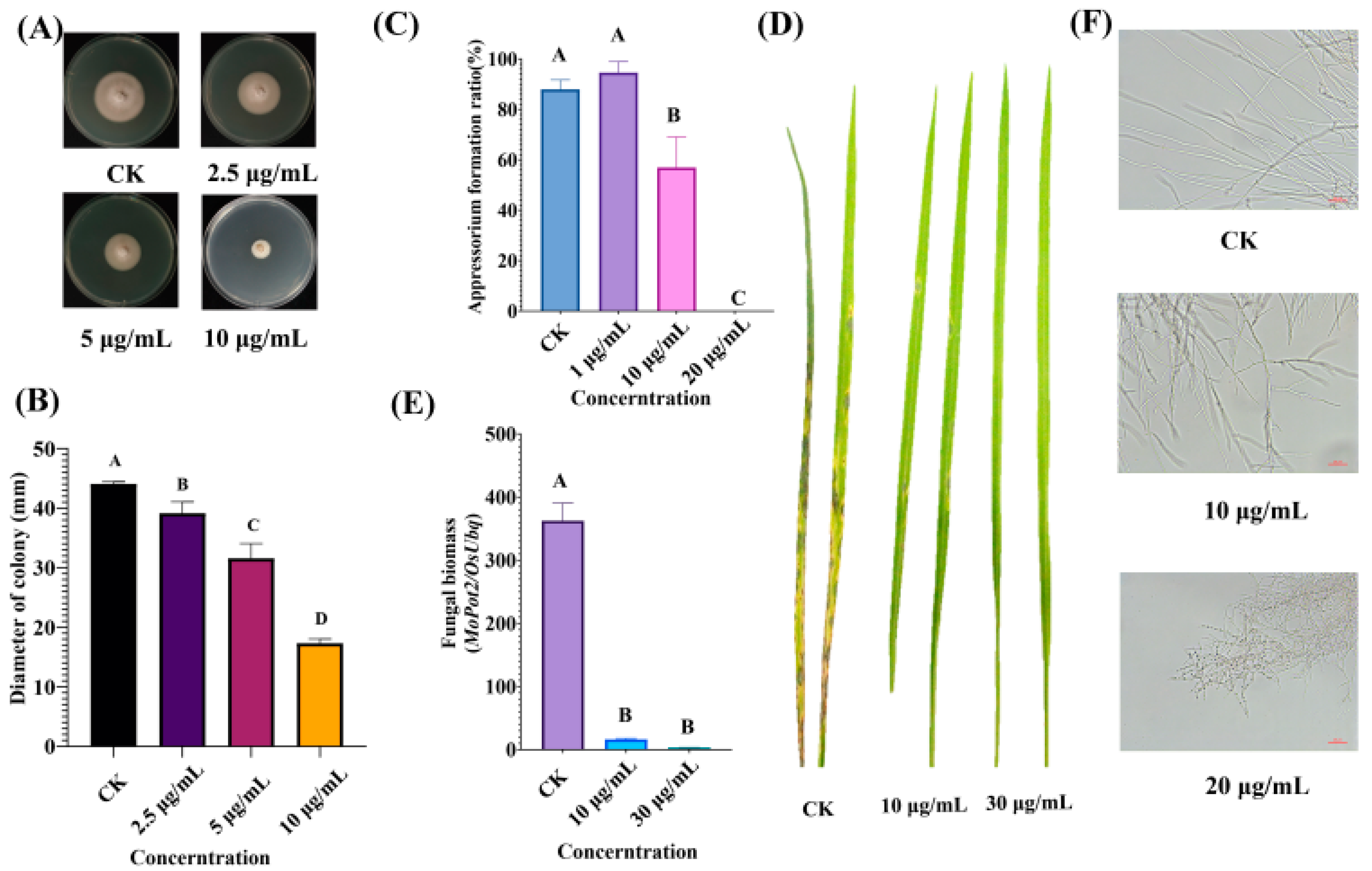 Ijms 23 07116 g001 Ijms 23 07116 g001