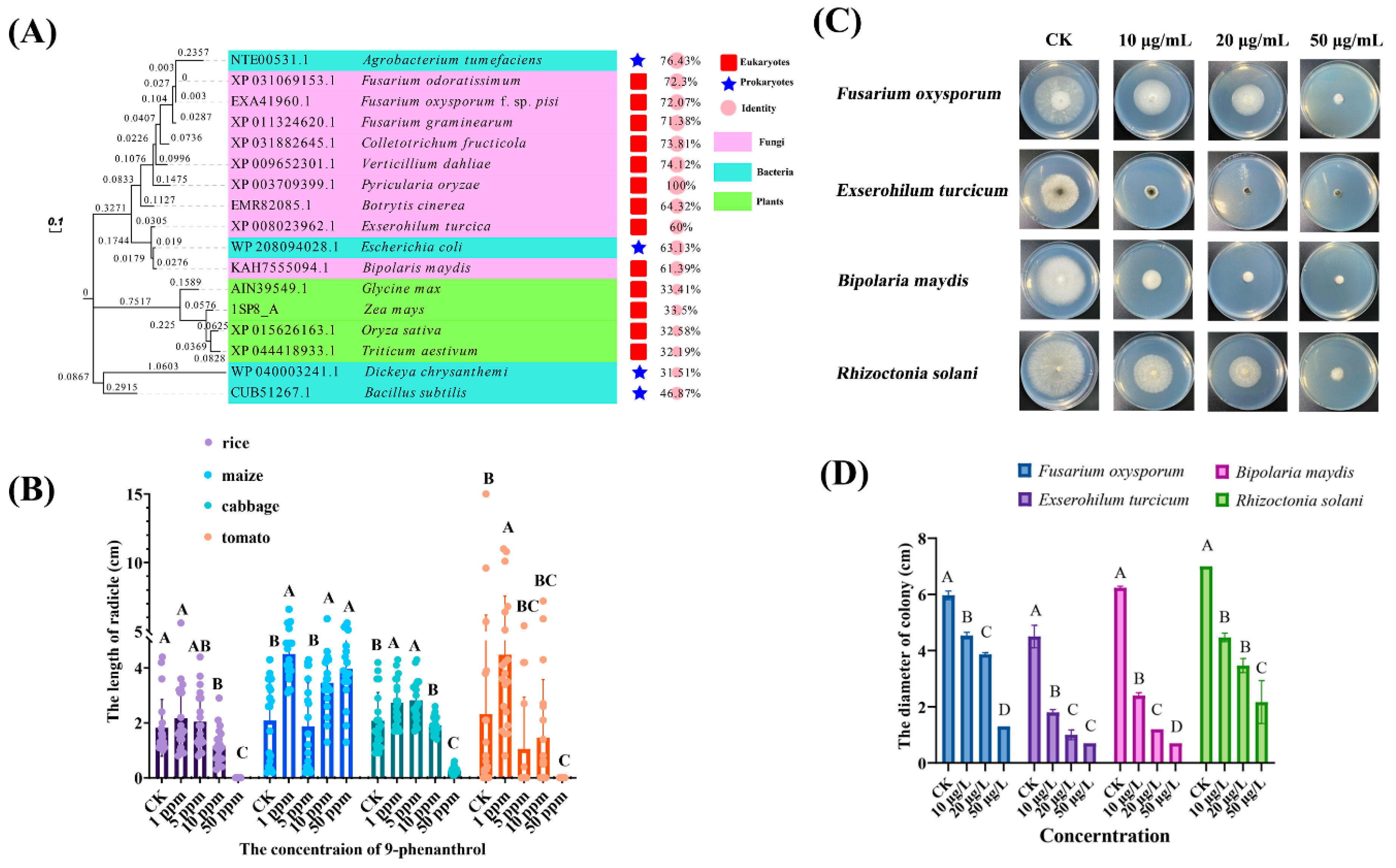 Ijms 23 07116 g005 Ijms 23 07116 g005