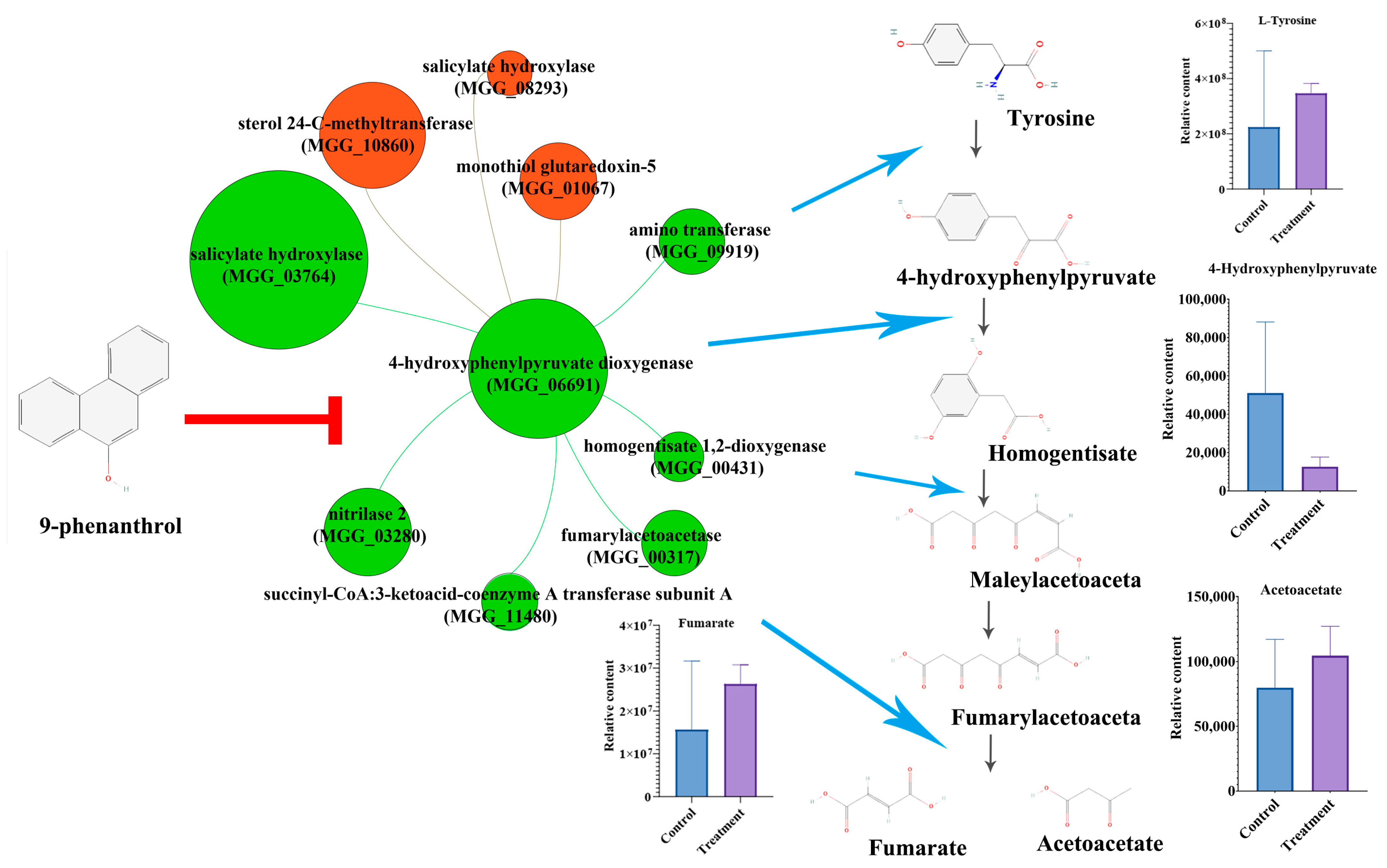 Ijms 23 07116 g006 Ijms 23 07116 g006
