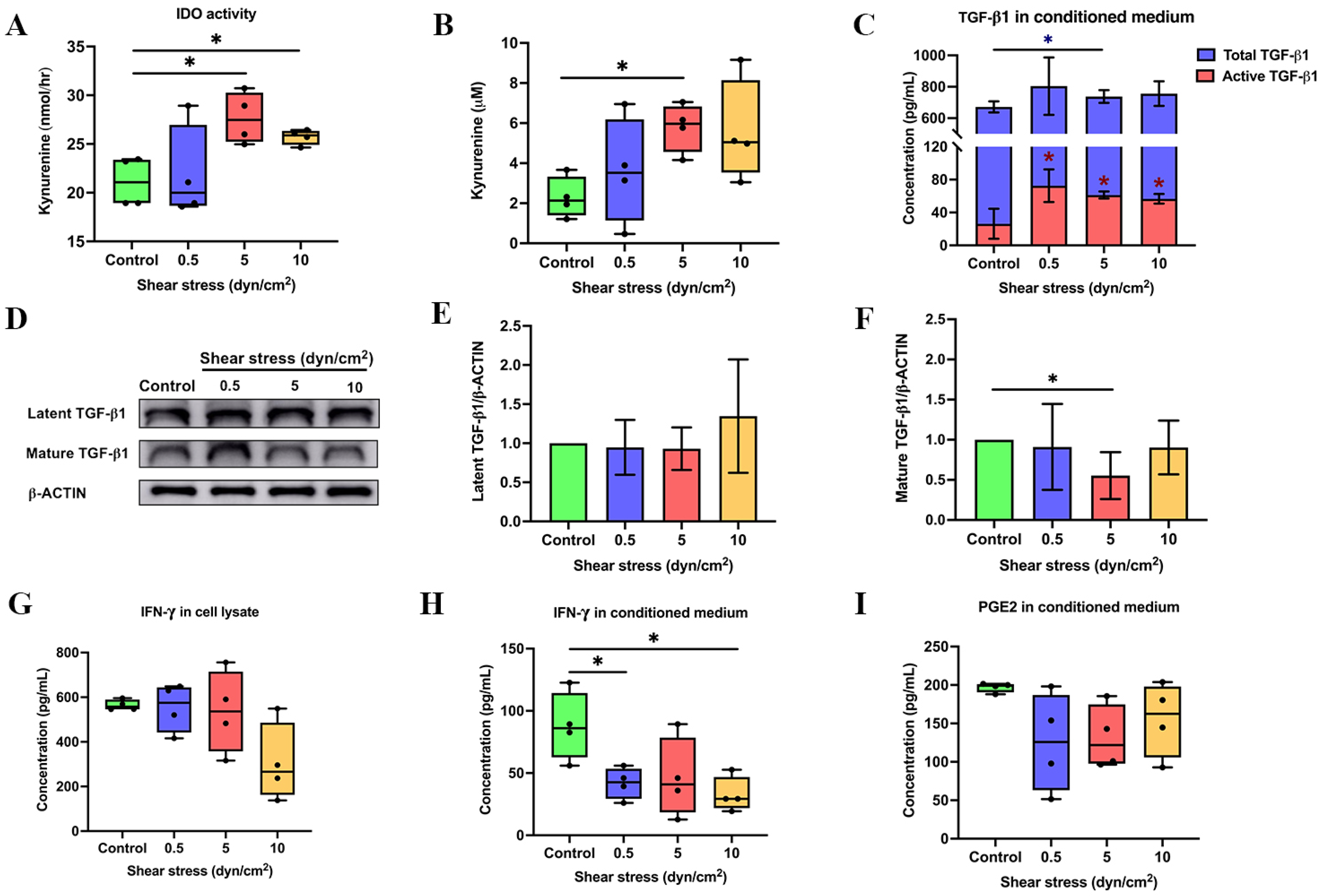 Ijms Free Full Text Shear Stress Enhances The Paracrine Mediated