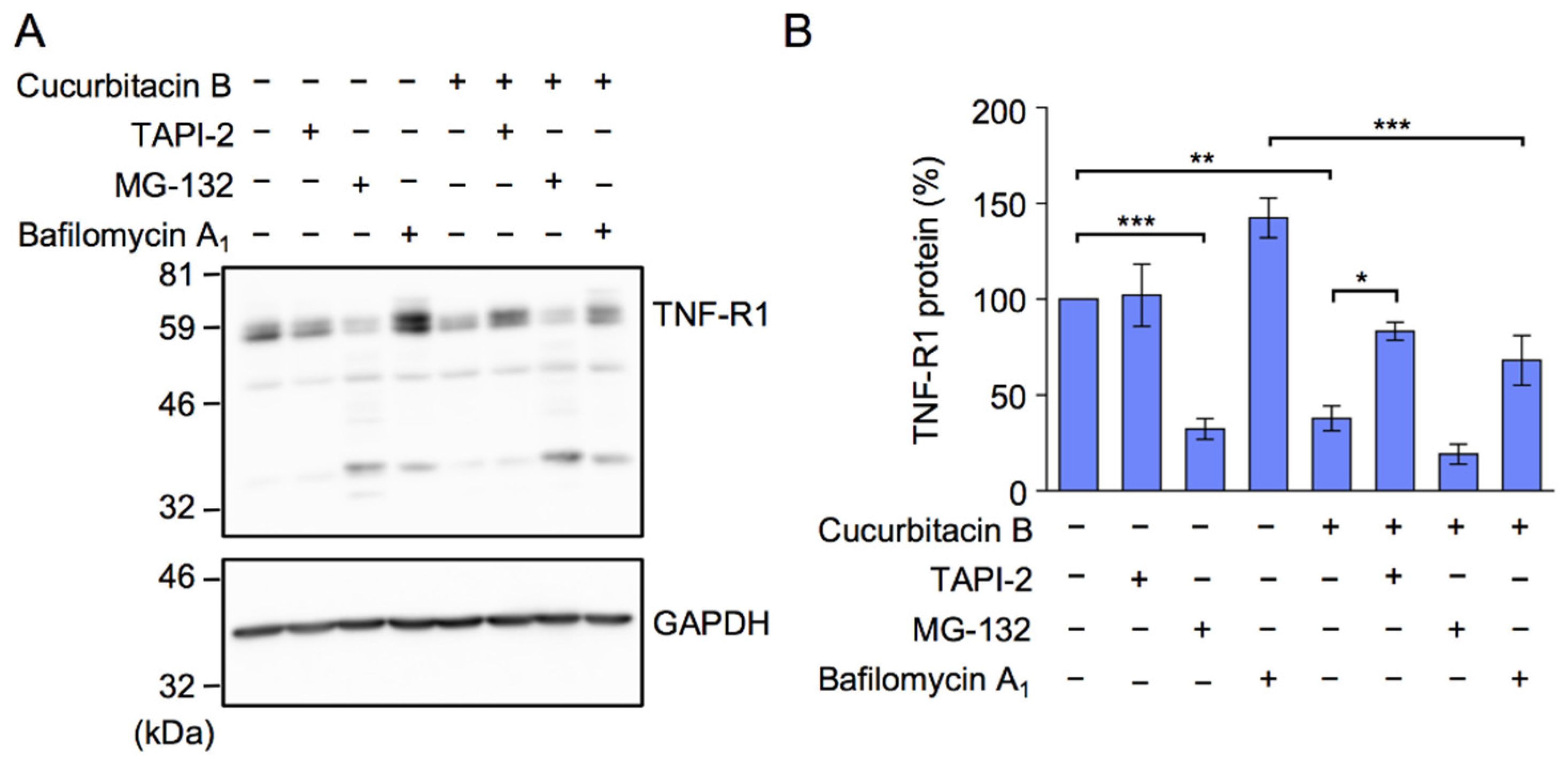 IJMS | Free Full-Text | Cucurbitacin B Down-Regulates TNF Receptor 1  Expression and Inhibits the TNF-&alpha;-Dependent Nuclear Factor &kappa;B  Signaling Pathway in Human Lung Adenocarcinoma A549 Cells | HTML