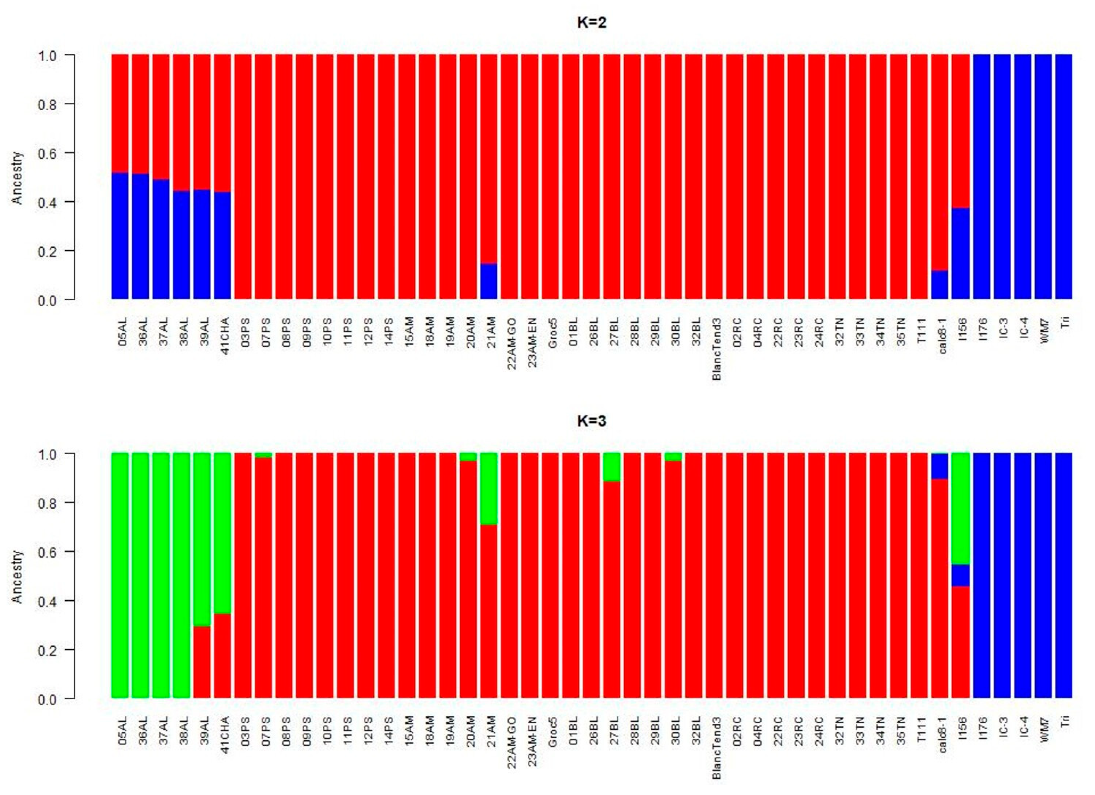 Ijms 23 07162 g003 Ijms 23 07162 g003