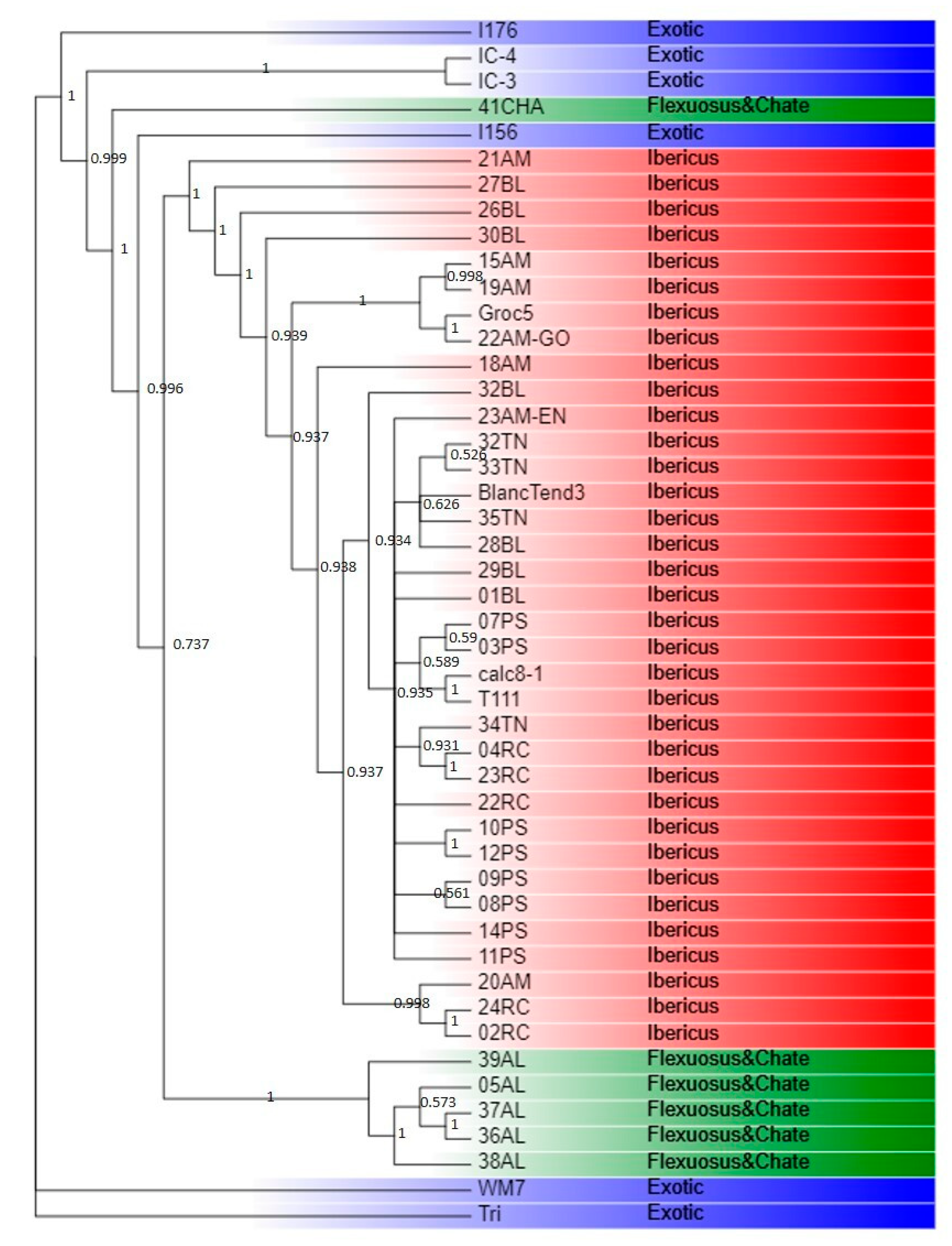 Ijms 23 07162 g005 Ijms 23 07162 g005