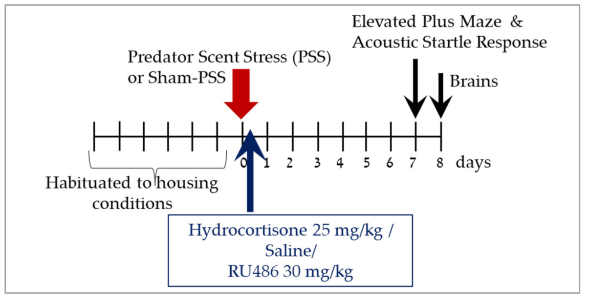 Ijms 23 07185 g008 Ijms 23 07185 g008
