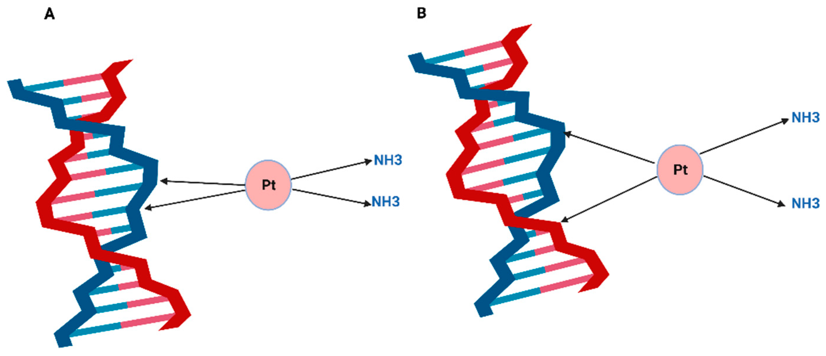 Ijms 23 07241 g002 Ijms 23 07241 g002