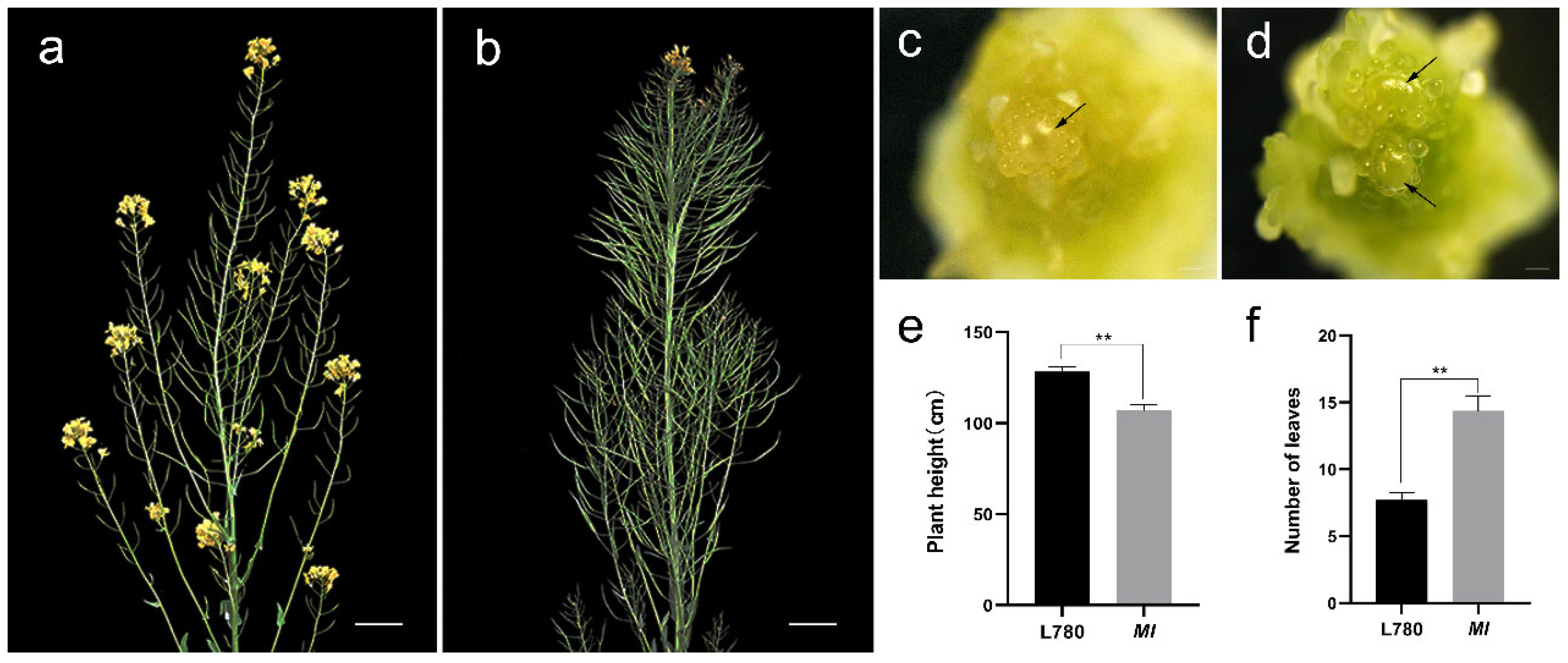 Ijms 23 07244 g001 Ijms 23 07244 g001