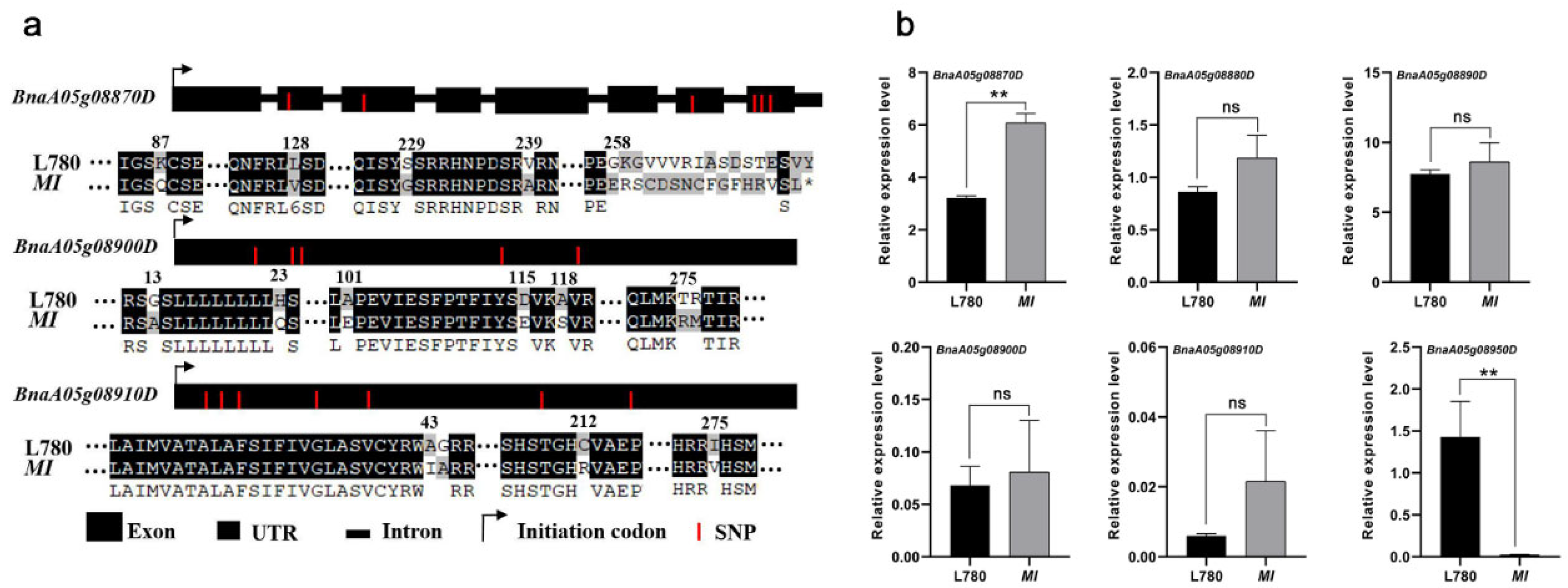 Ijms 23 07244 g004 Ijms 23 07244 g004