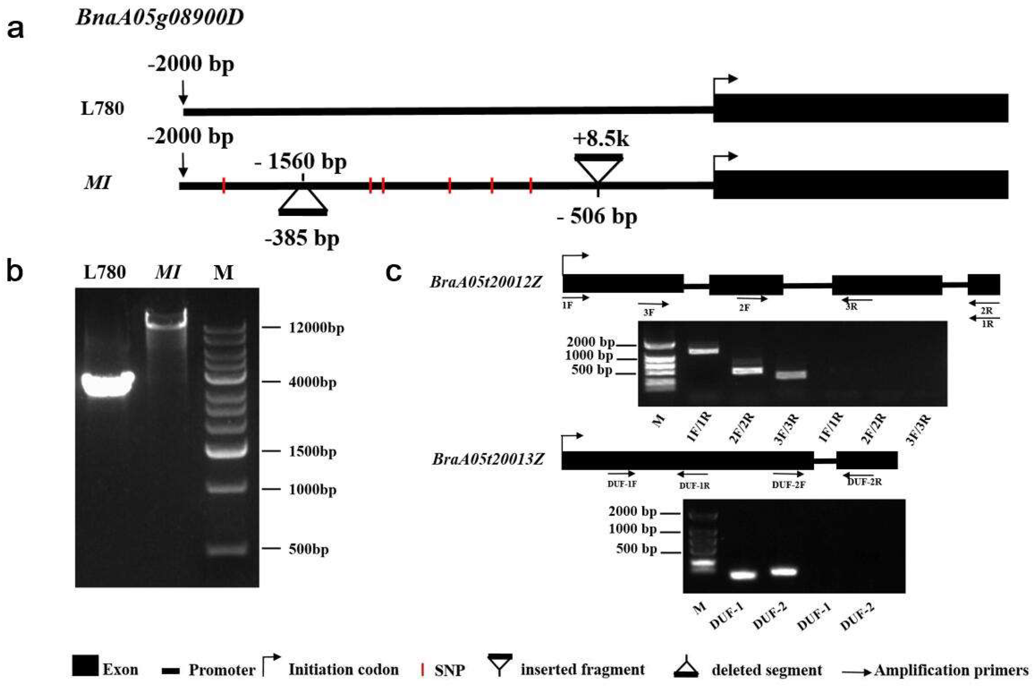 Ijms 23 07244 g005 Ijms 23 07244 g005