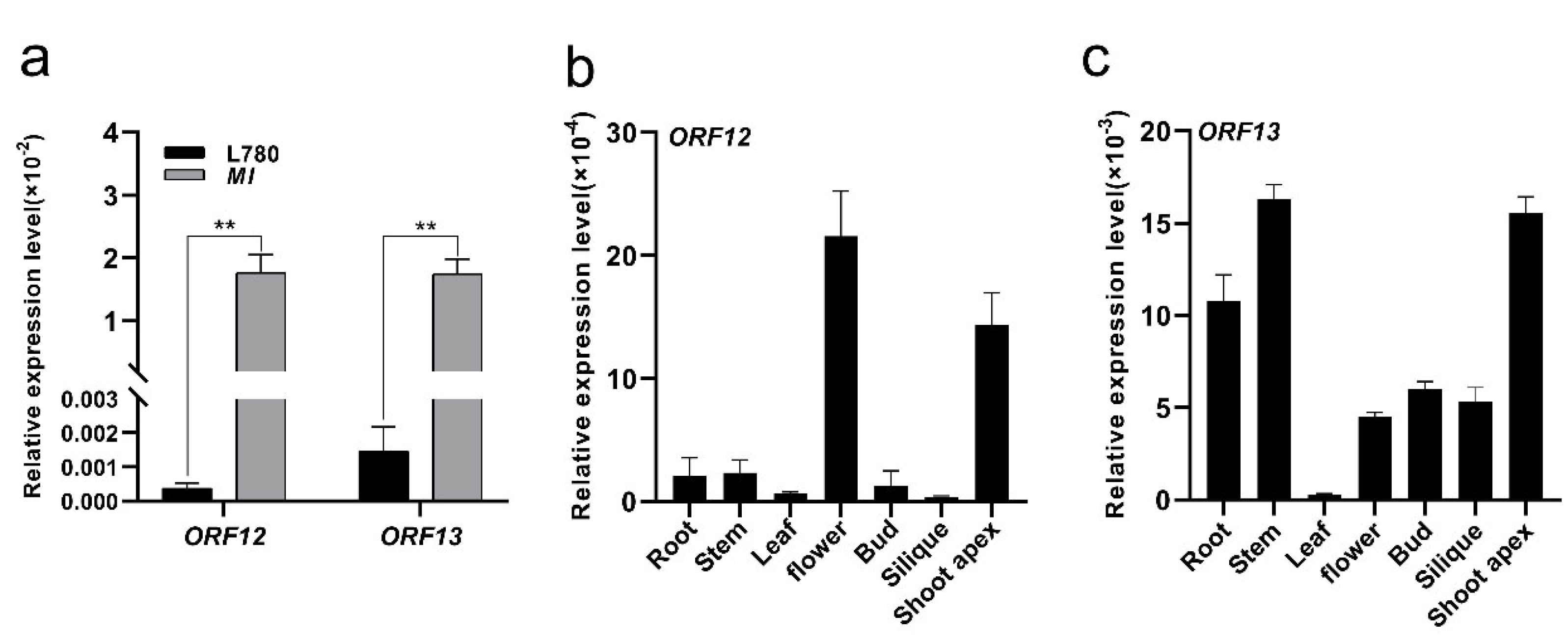 Ijms 23 07244 g006 Ijms 23 07244 g006