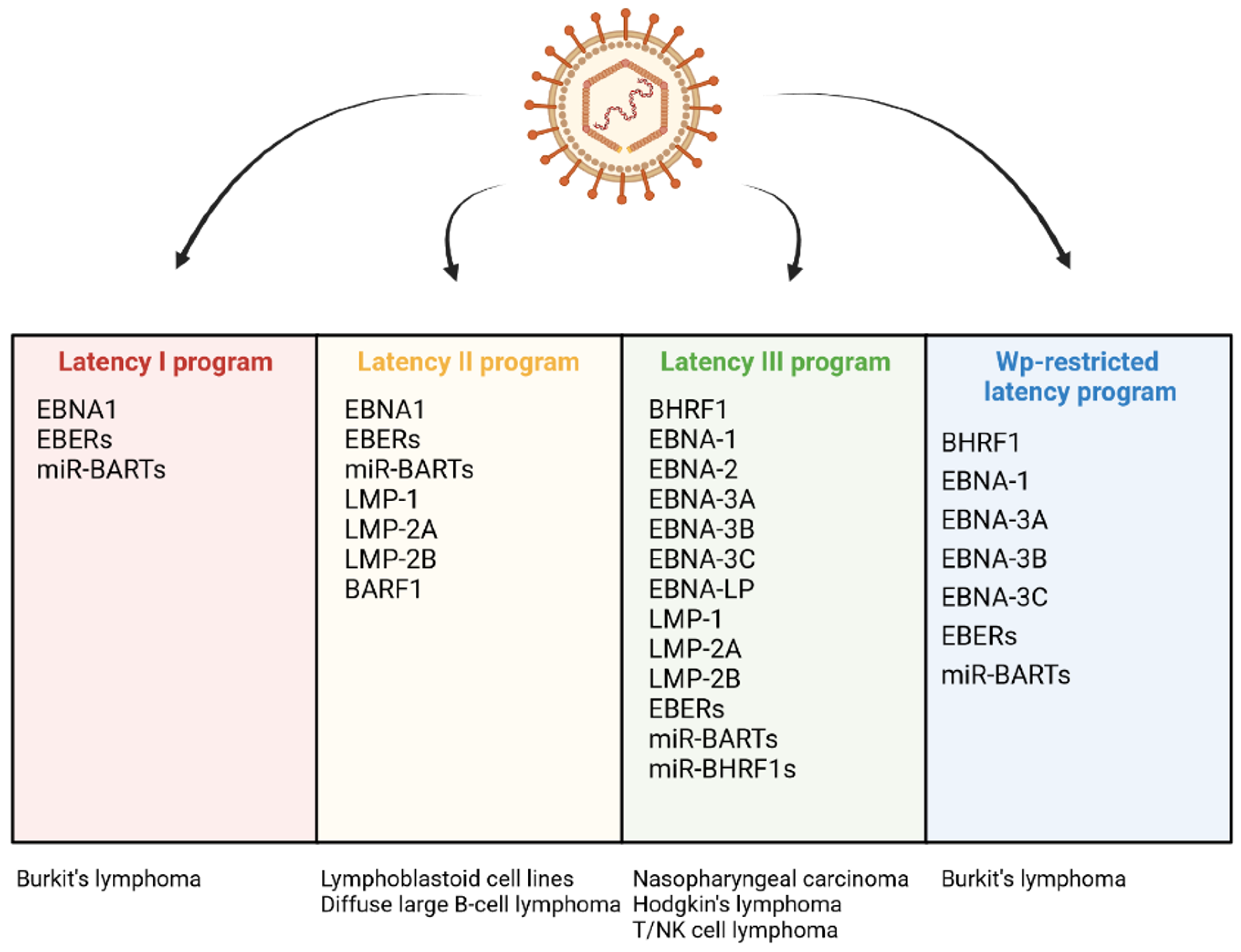 Ijms 23 07265 g002 Ijms 23 07265 g002