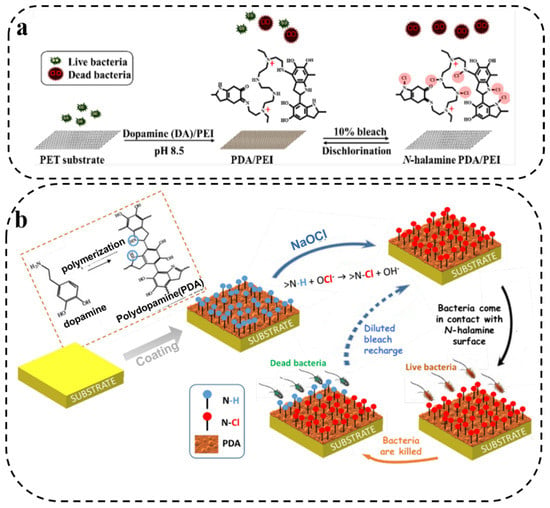 IJMS | Free Full-Text | Recent Development of Polydopamine Anti ...