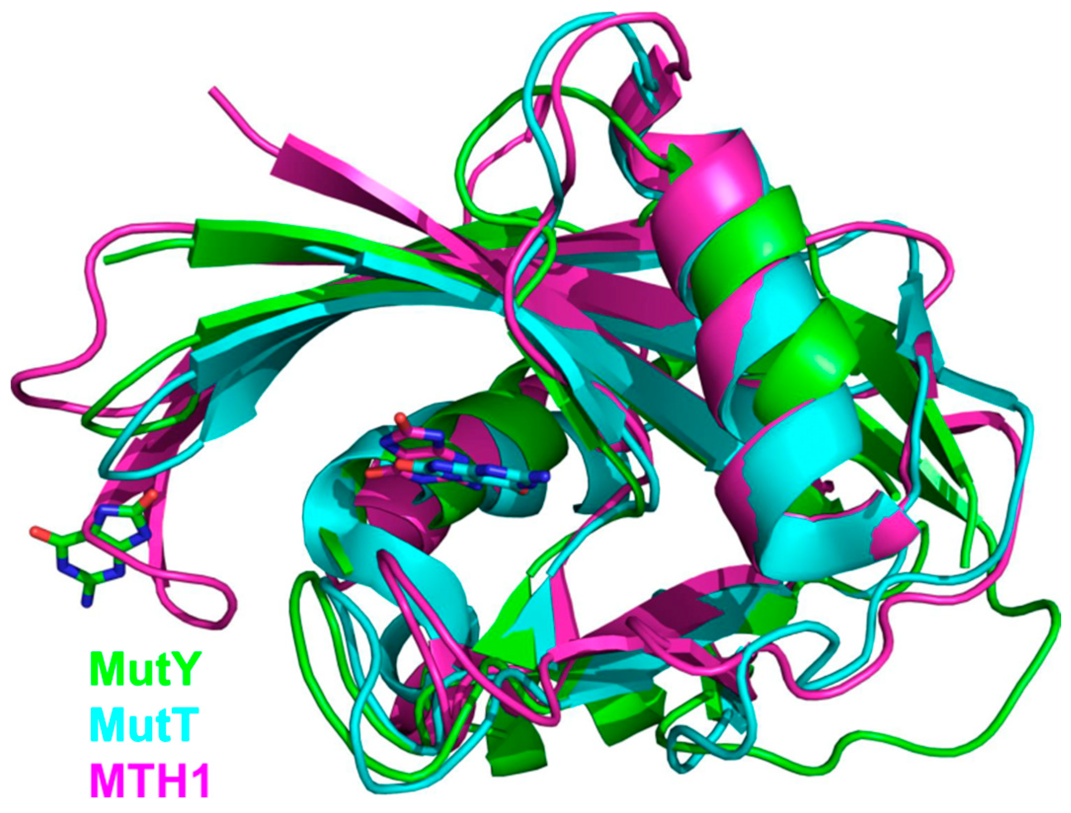 Ijms 23 07286 g004 Ijms 23 07286 g004