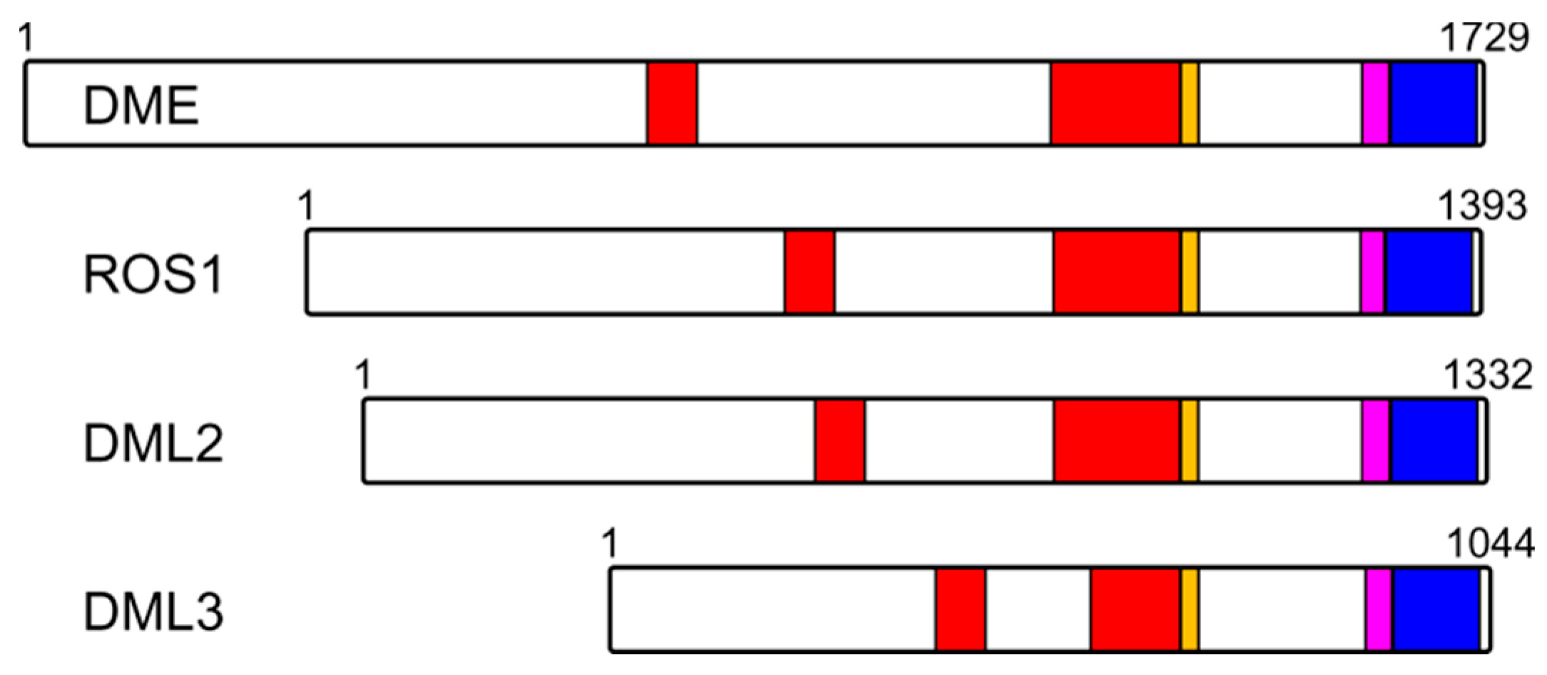 Ijms 23 07286 g006 Ijms 23 07286 g006