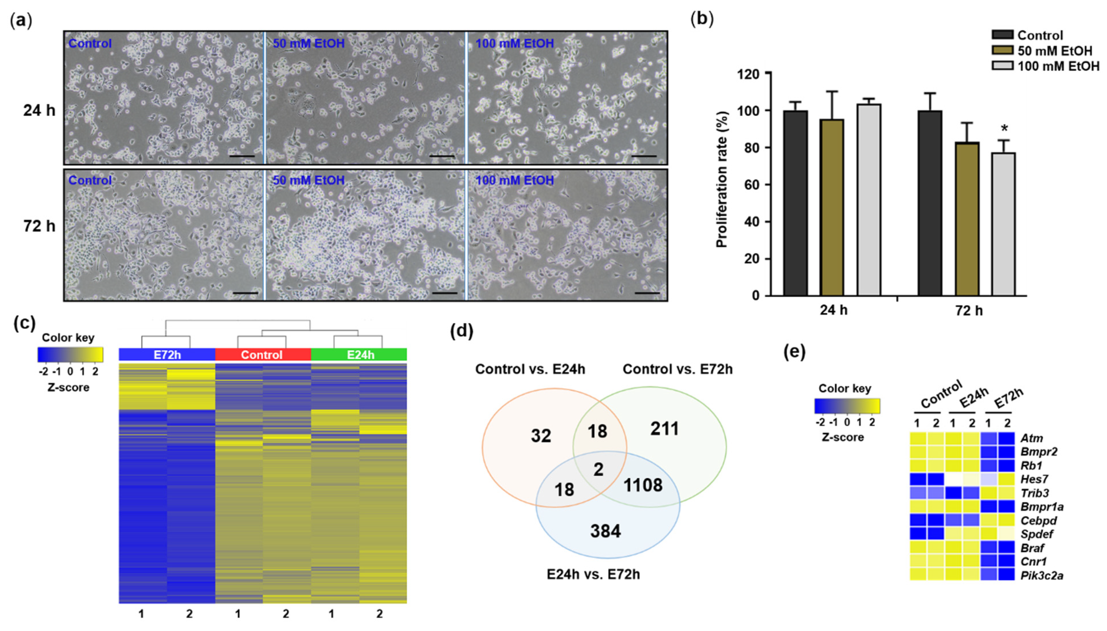 Ijms 23 07294 g001 Ijms 23 07294 g001