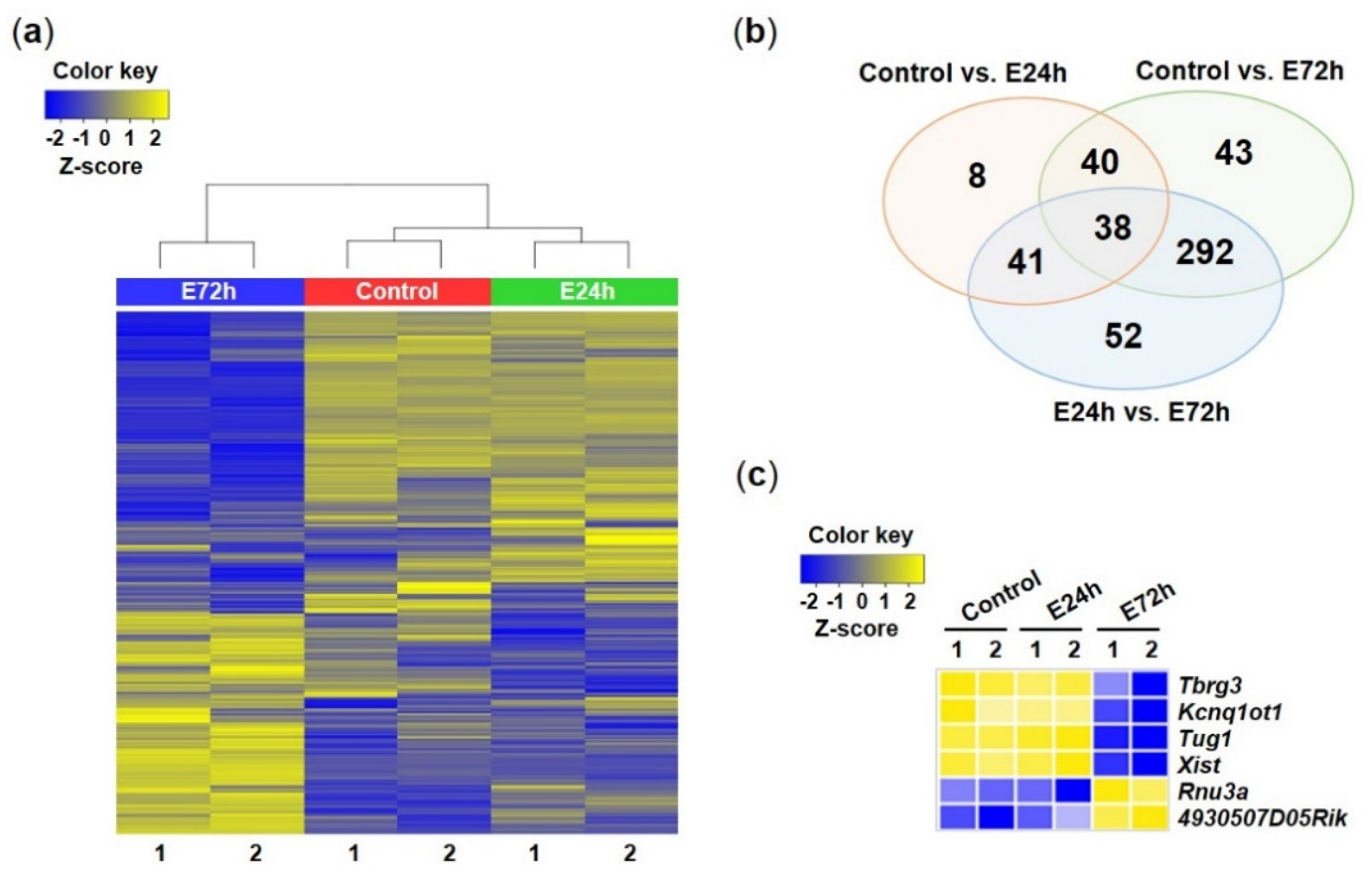 Ijms 23 07294 g004 Ijms 23 07294 g004