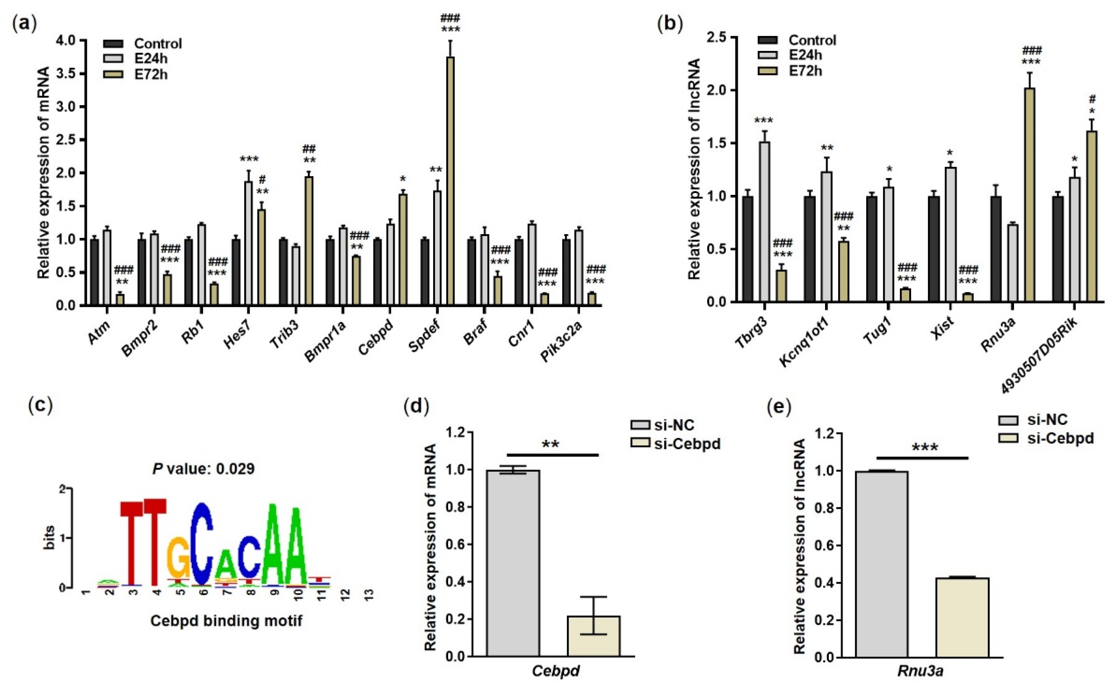 Ijms 23 07294 g005 Ijms 23 07294 g005