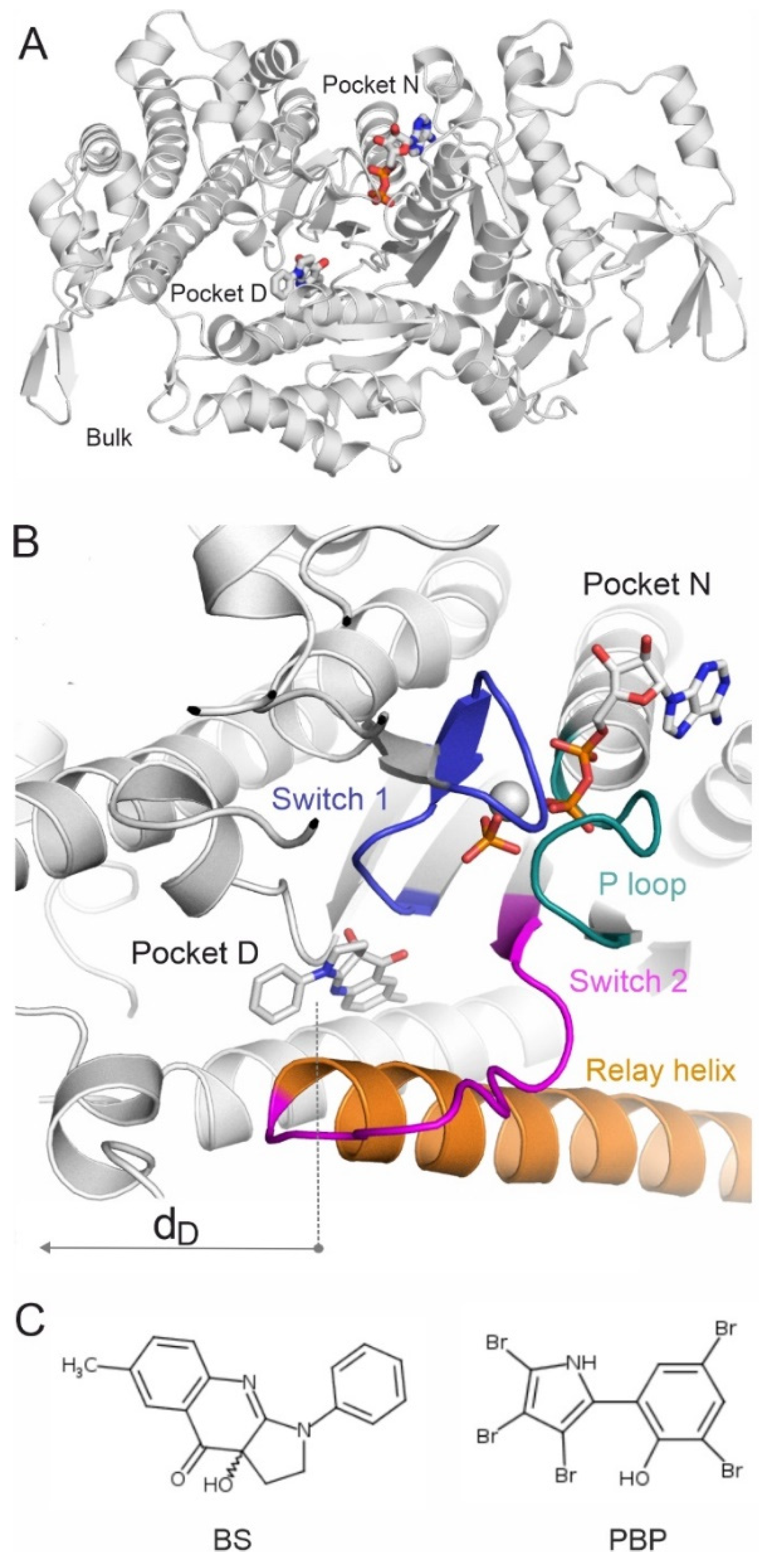 Ijms 23 07313 g001 Ijms 23 07313 g001