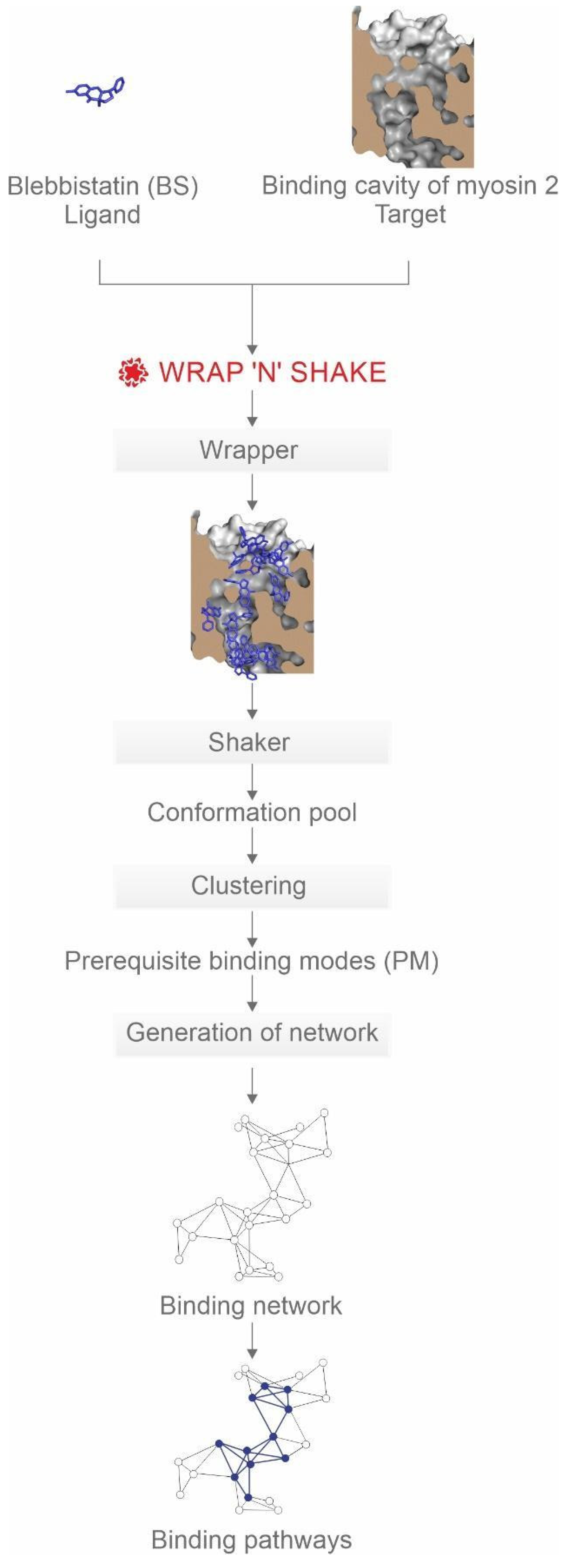 Ijms 23 07313 g002 Ijms 23 07313 g002