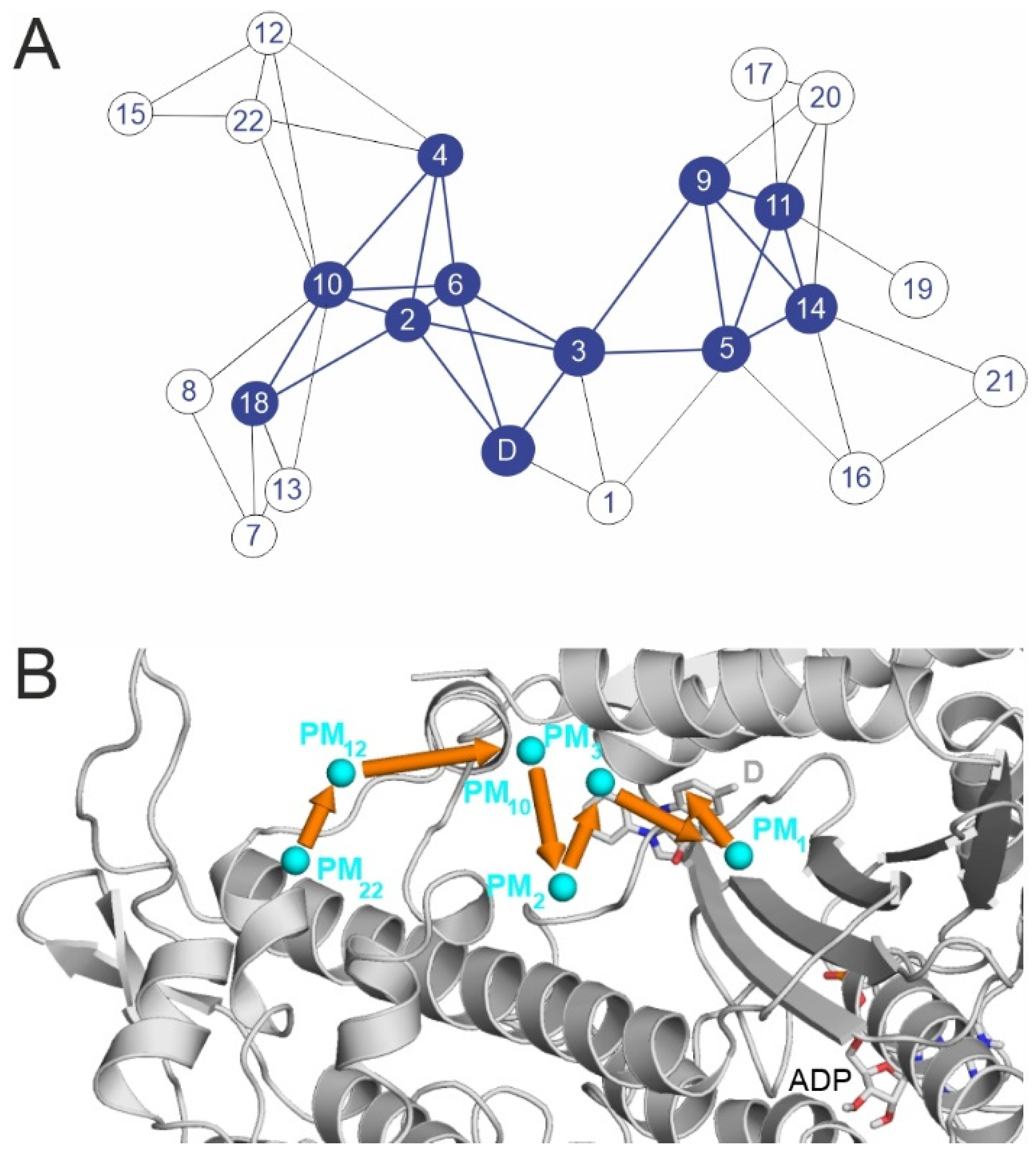 Ijms 23 07313 g004 Ijms 23 07313 g004