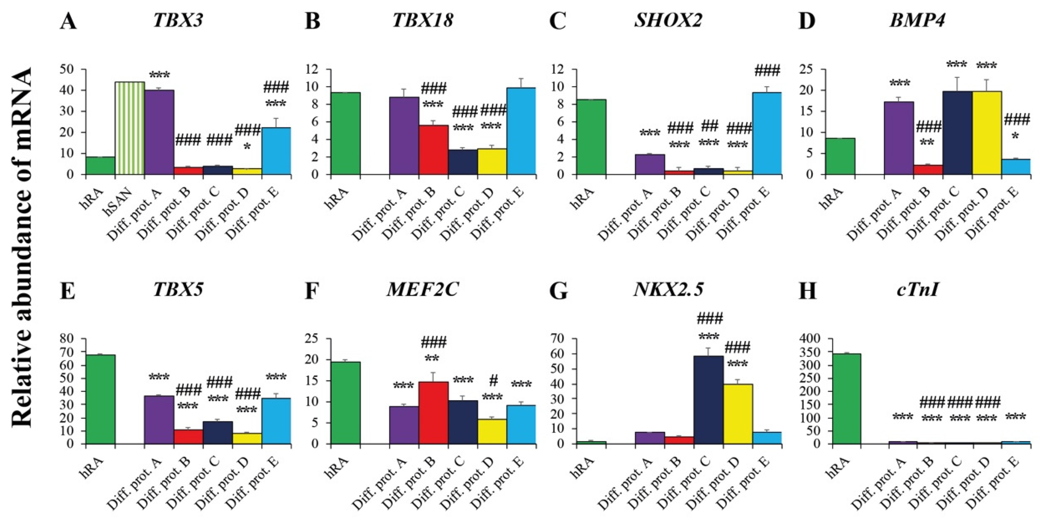 Ijms 23 07318 g003 Ijms 23 07318 g003